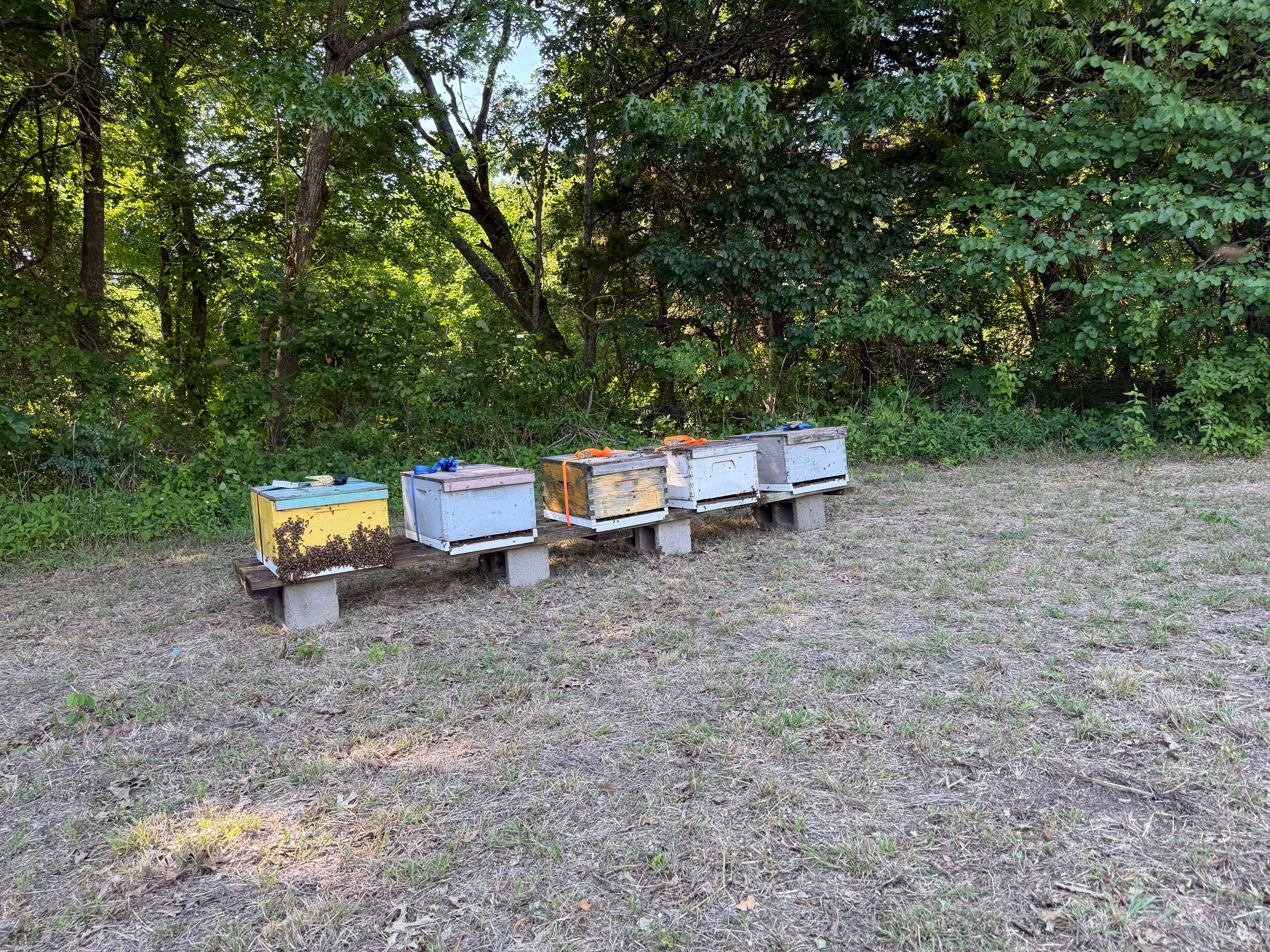 Another Bottoms with Bees by Rockwall Honey Bee Company