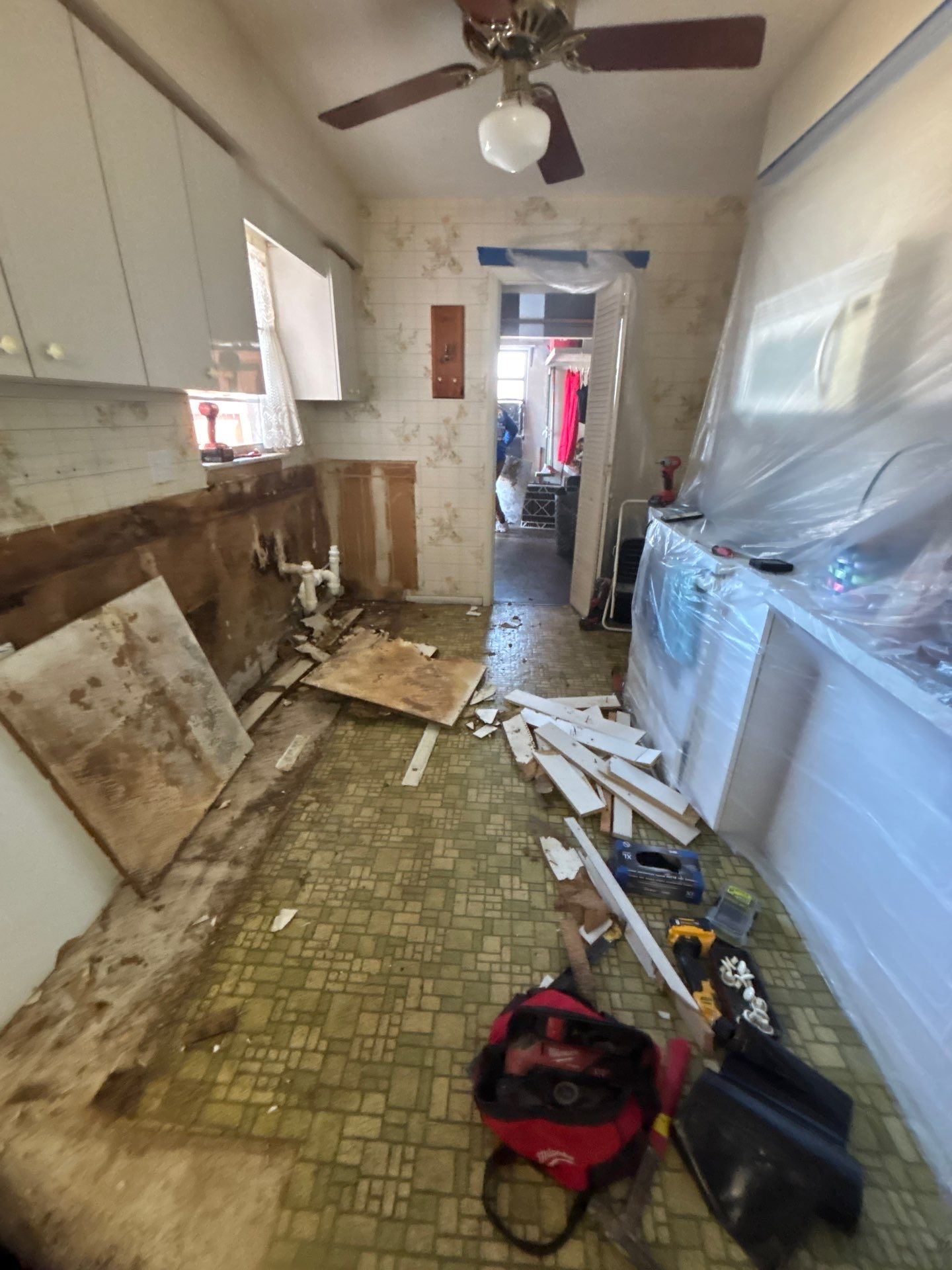 Mold Removal In Bradenton FL  by Ampm Restoration Services 