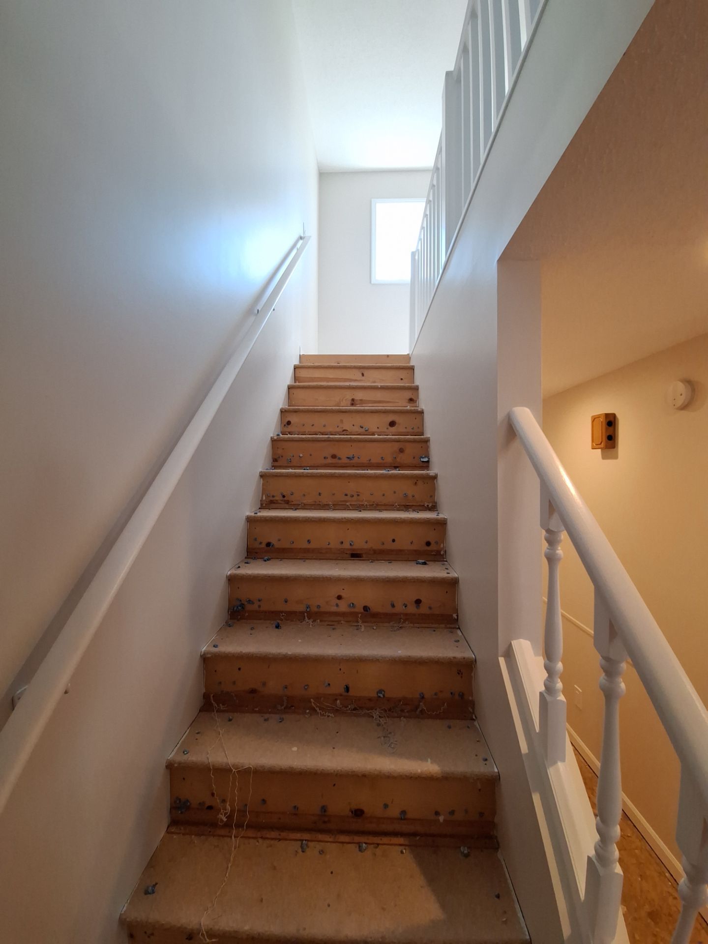 Condo Re-Paint by Gordon Painting
