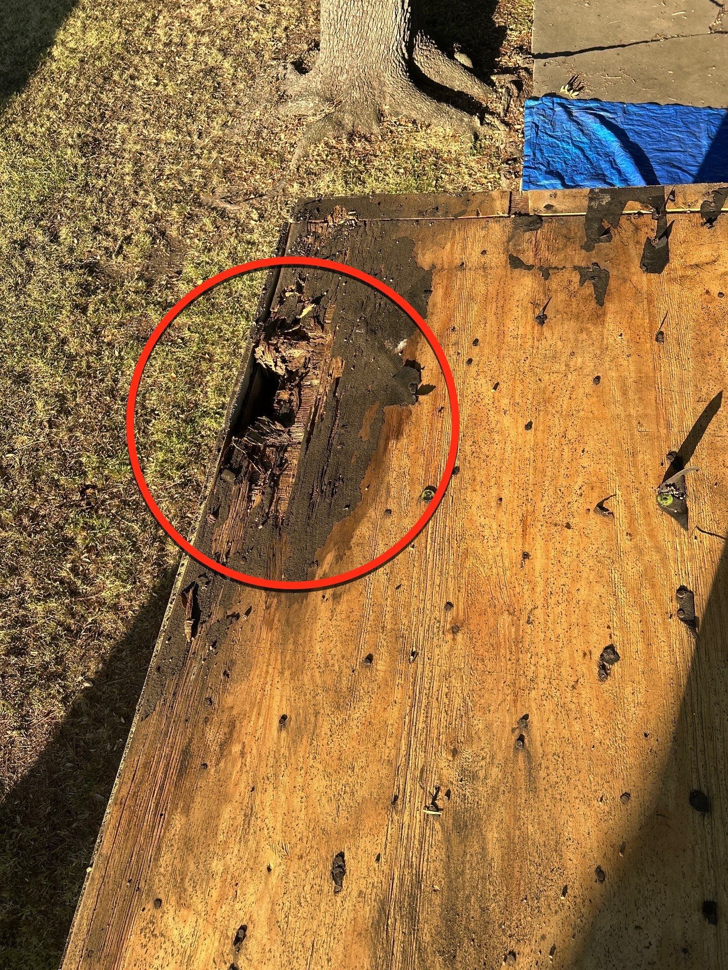 Turning a Complicated Roof Situation Into a Win for a Homeowner by Black Coast Roofing