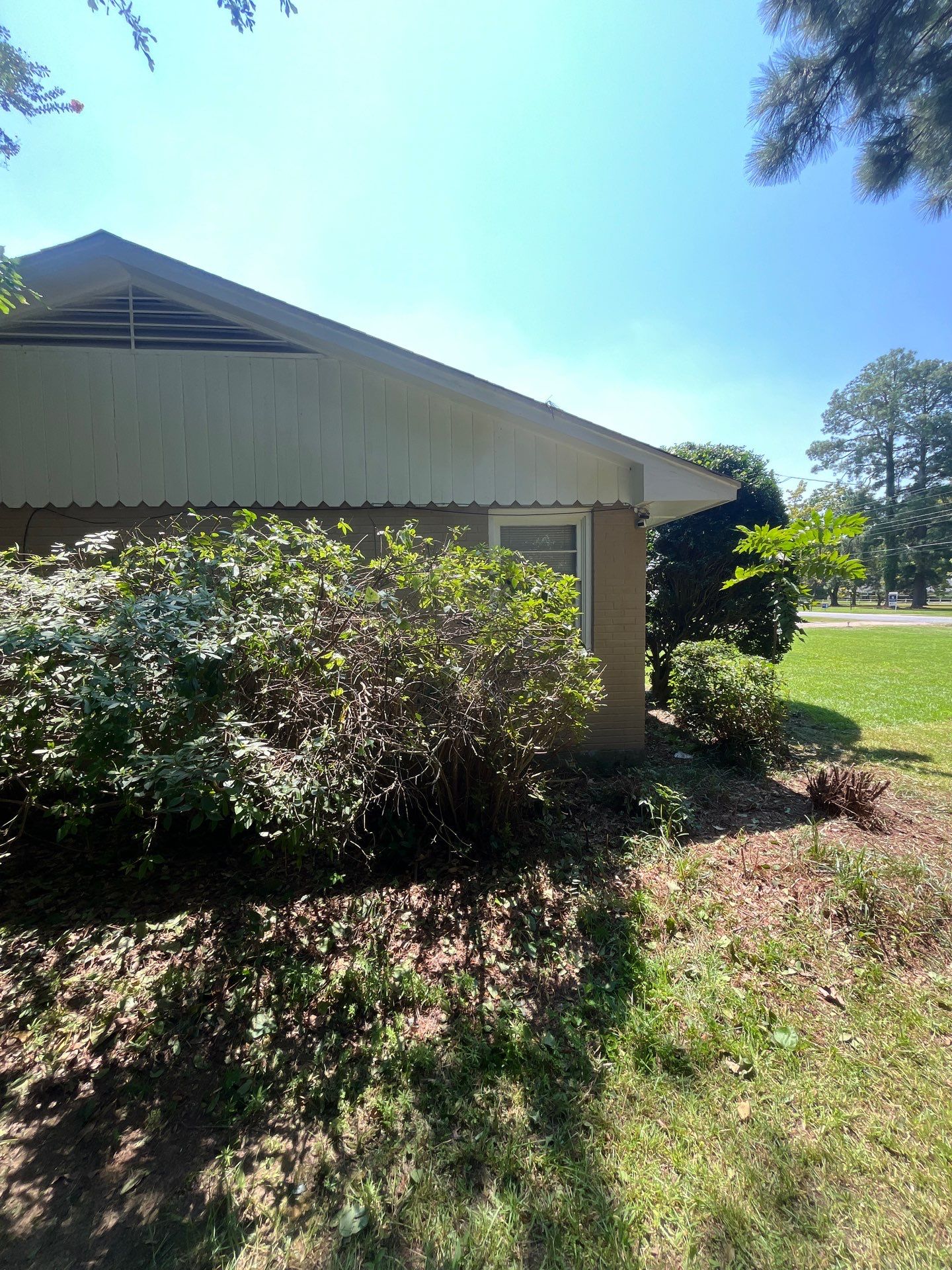 Yard Makeover by College Bros Outdoor services