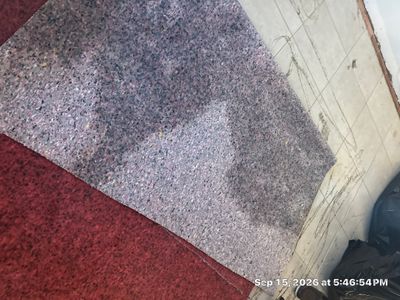 Ceiling Leak Repair — Naples, FL