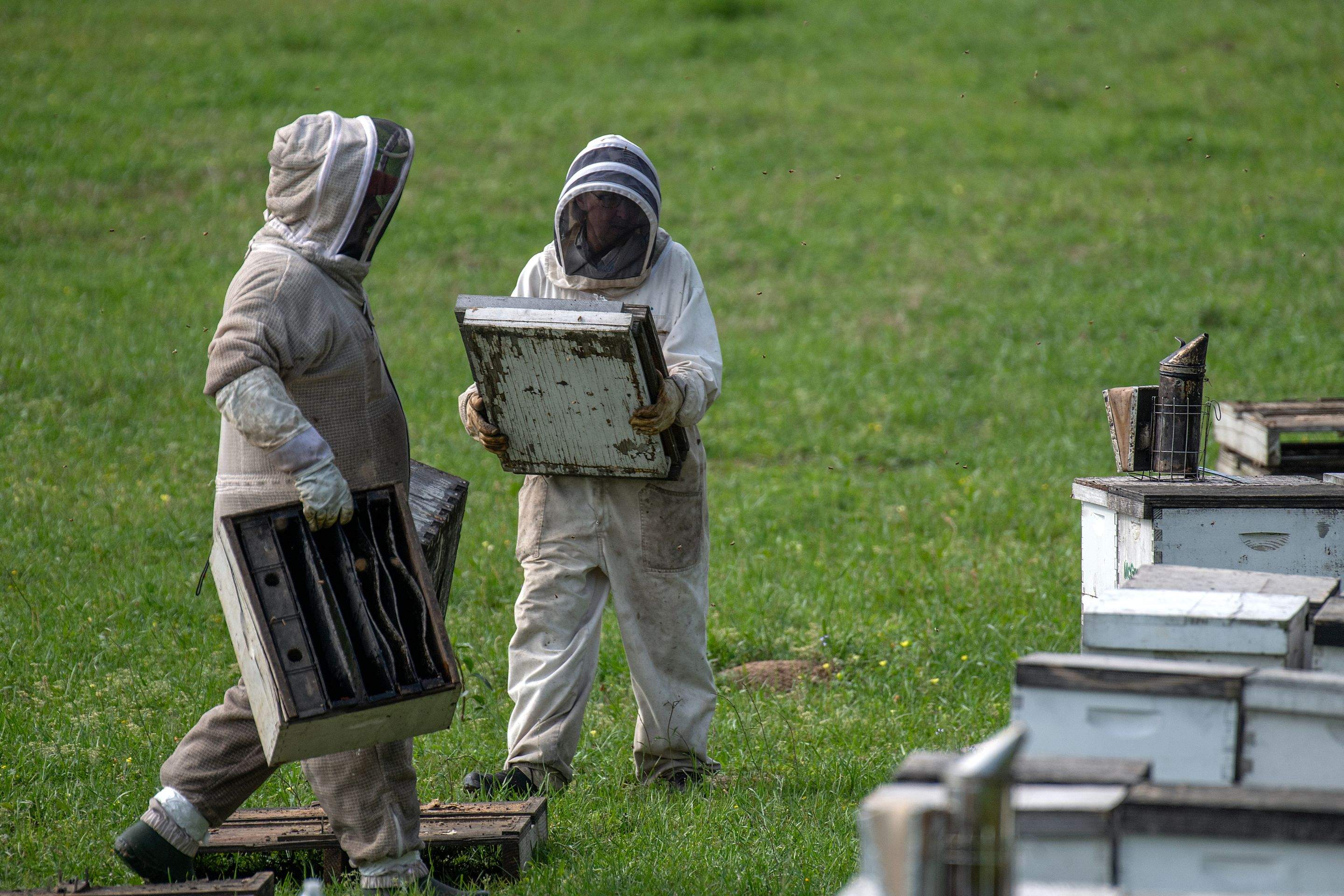 Splits in East Texas by Rockwall Honey Bee Company