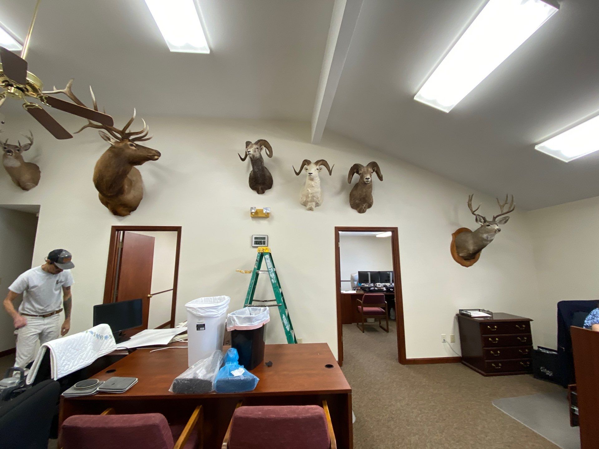 Project in Cape Girardeau by Duncan Painting And Wallcovering