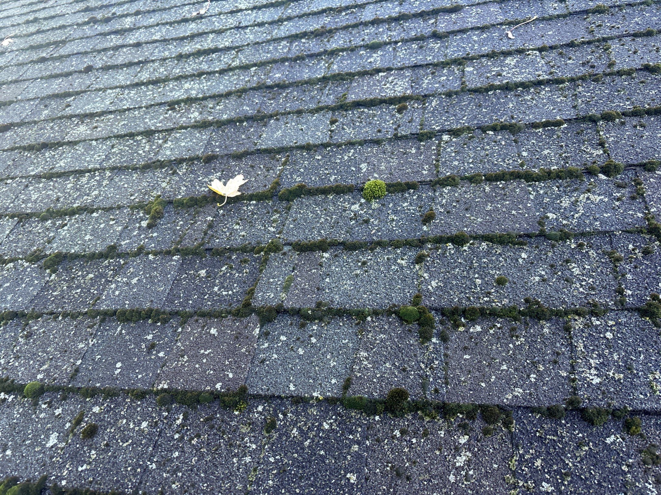 Roof Replacement using Certainteed Landmark Climate-Flex by 180 Contractors