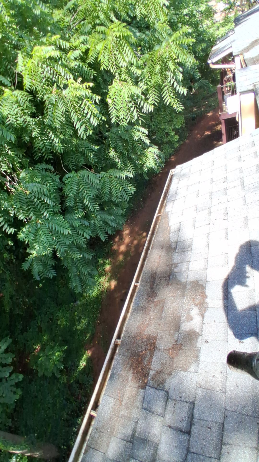 HOA gutter cleaning after photo.