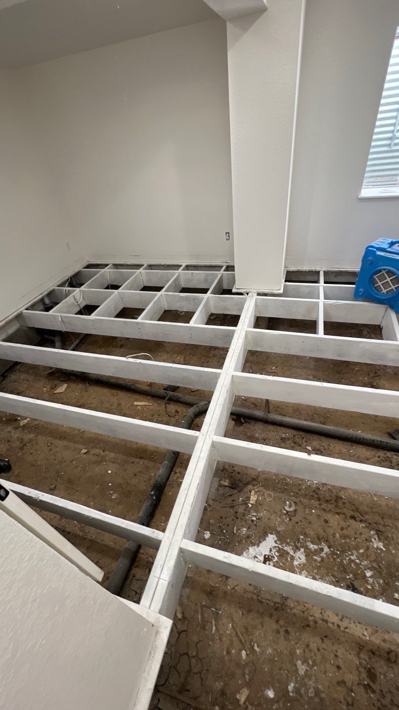 Mold Remediation by Accountable Home Services