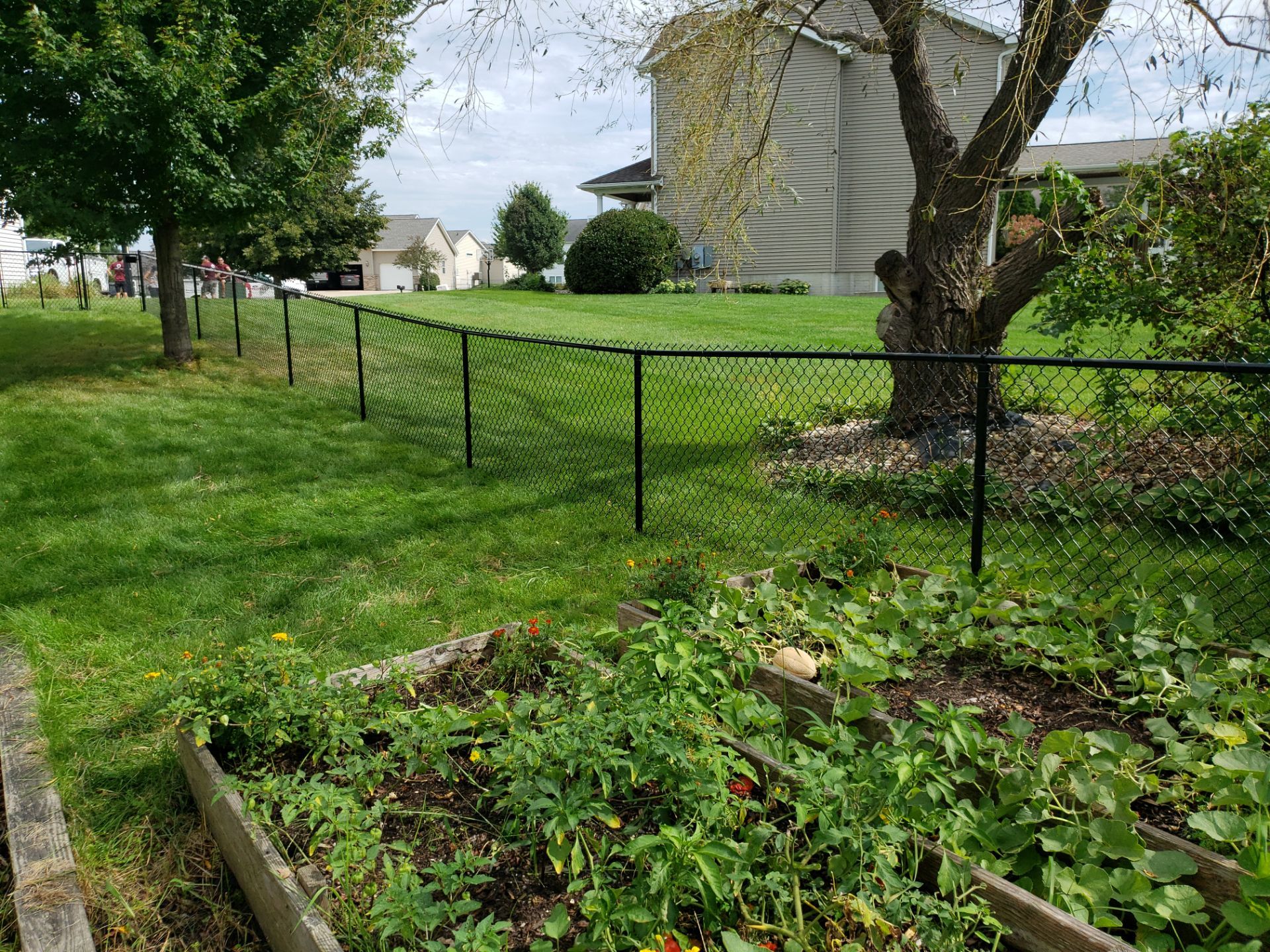 Black Vinyl-Coated Chain Link Fence Installation in Cedar Falls by Perfect Picket Fence and Stain