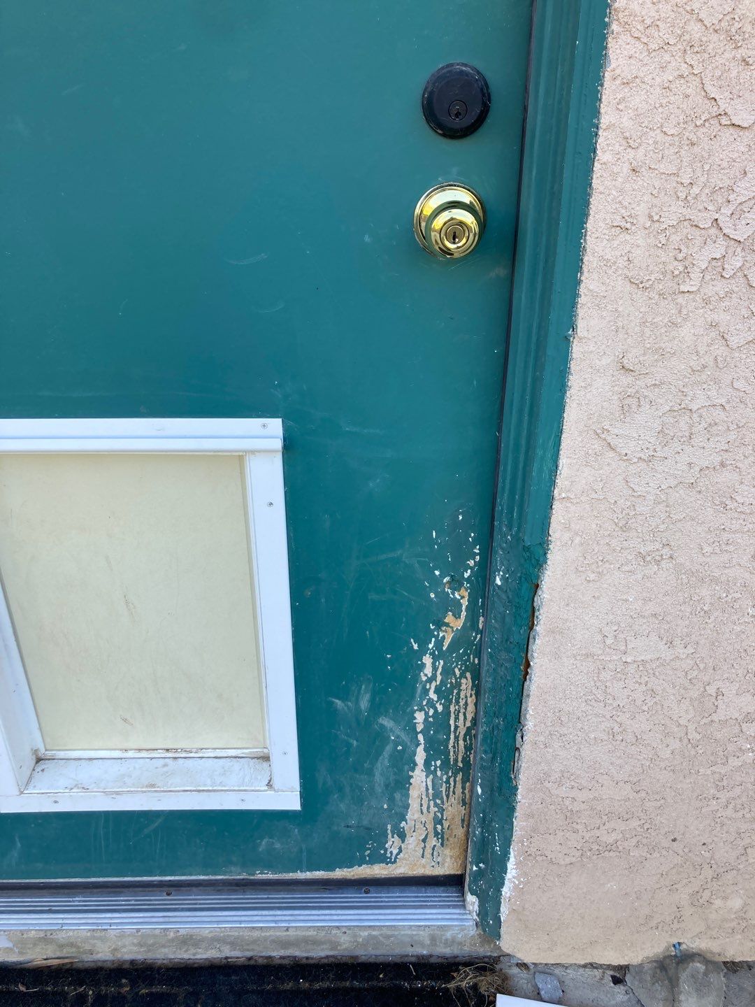 Repair Door Face by Andre Handyman
