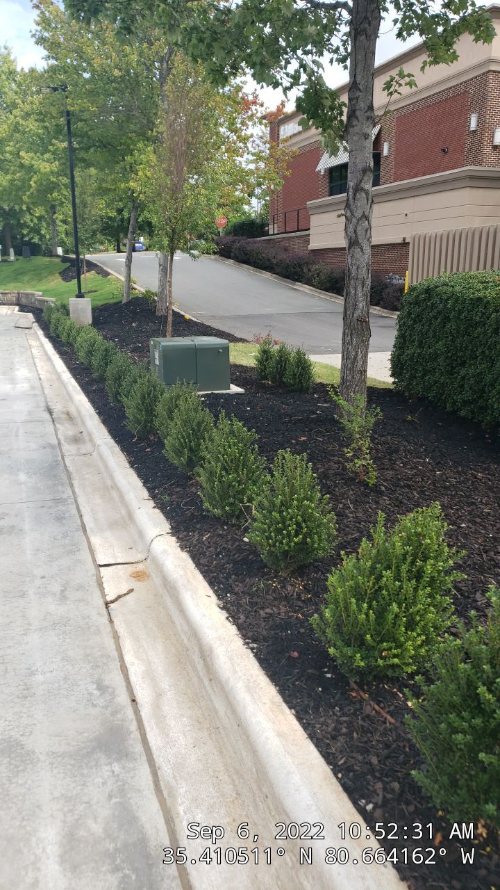 Commercial Landscaping Harris Teeter Fuel Station by Carolina-Metro Landscape, Inc