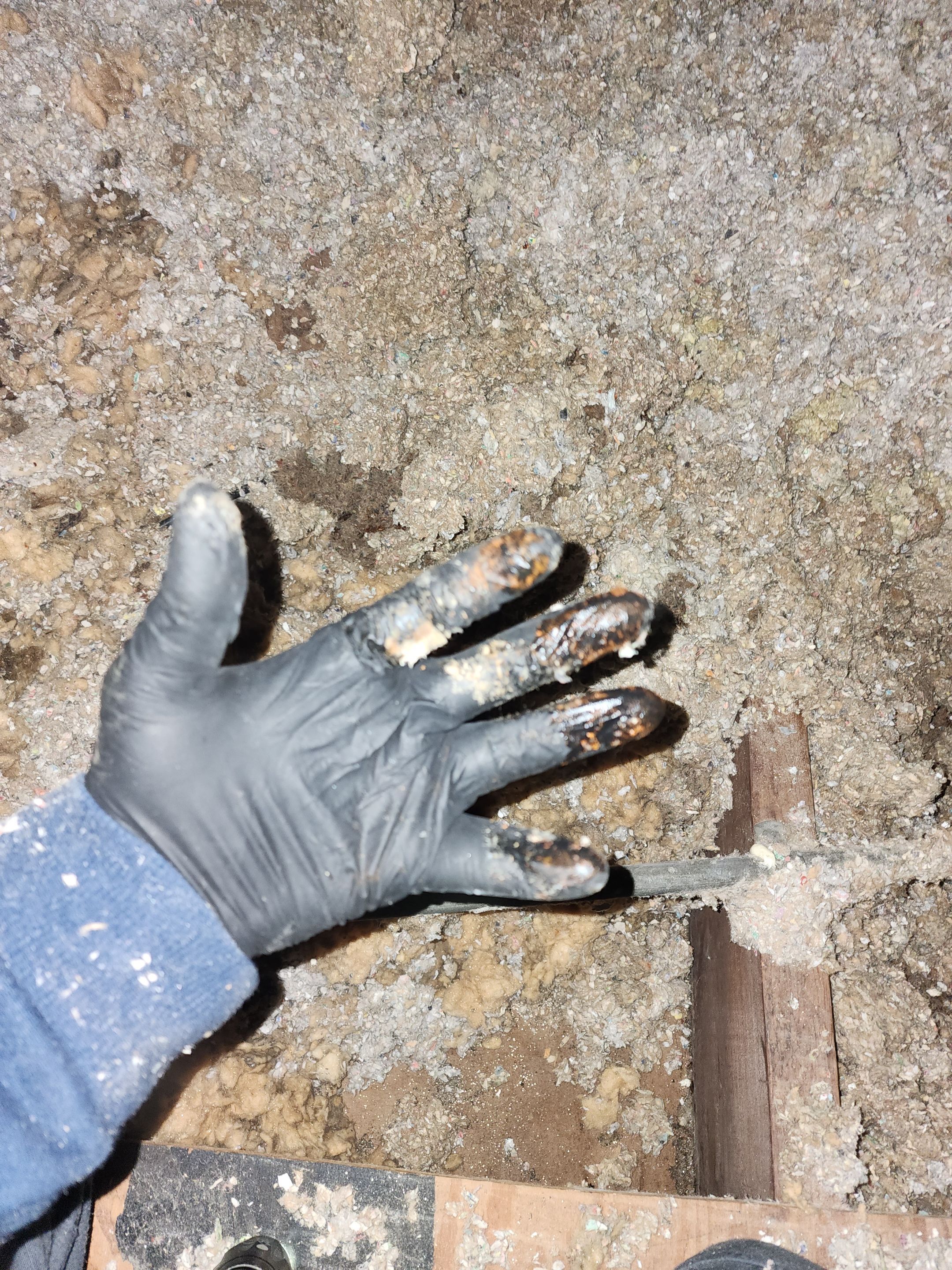 Sewage Pipe Break in the Attic by Chicagoland Water Medics