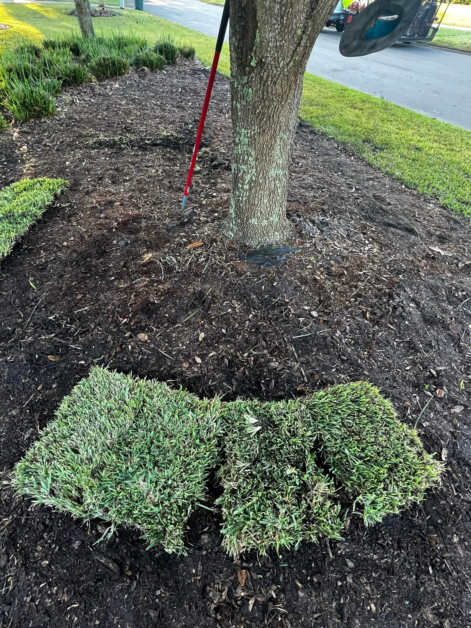 Sod Installation | Deercreek Country Club by ProGreen Services