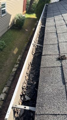 Turtle Shell gutter protection installation in Naperville, IL 60565, photograph 4