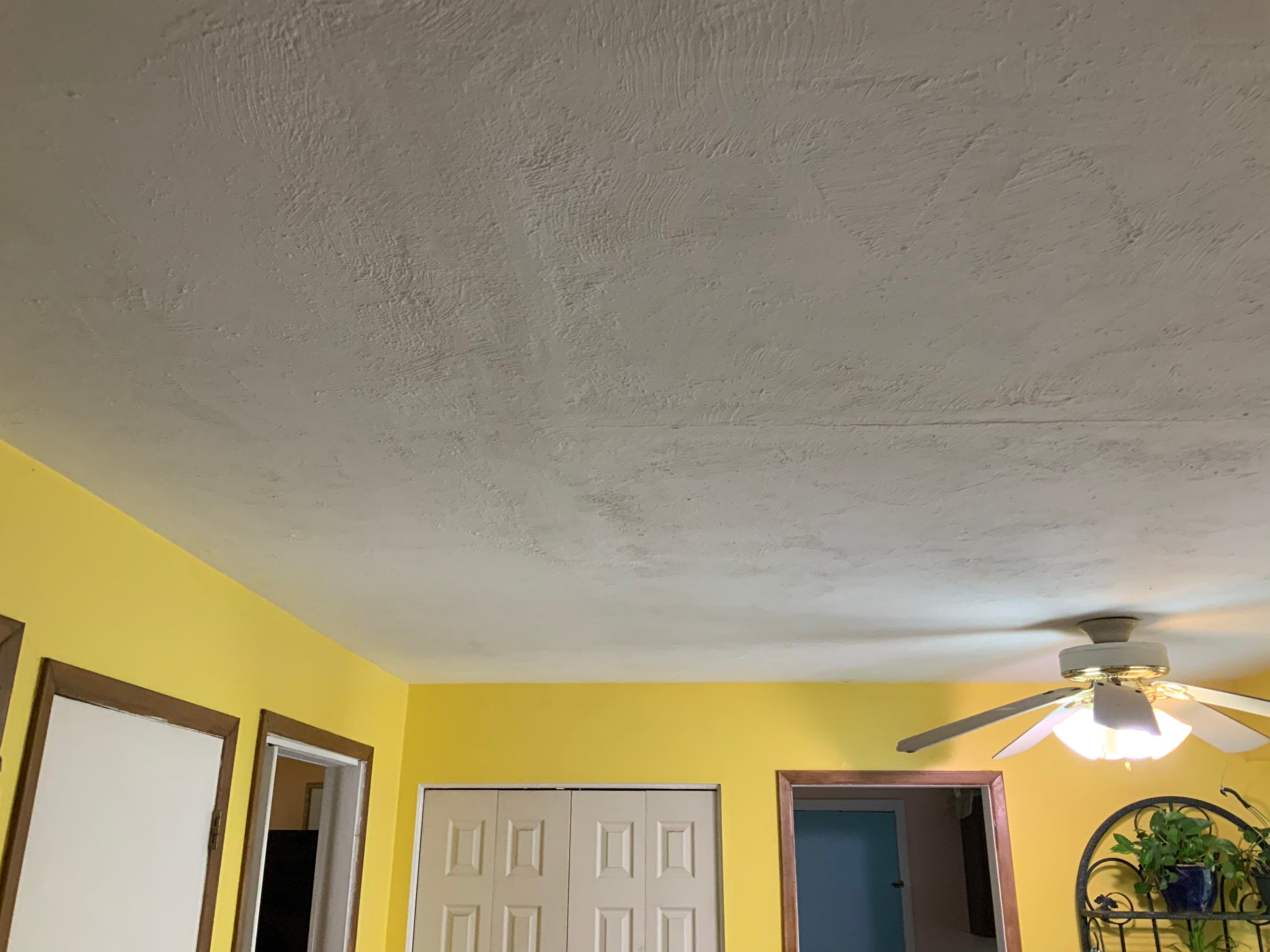 Ceiling Repair by Alpha Design Services