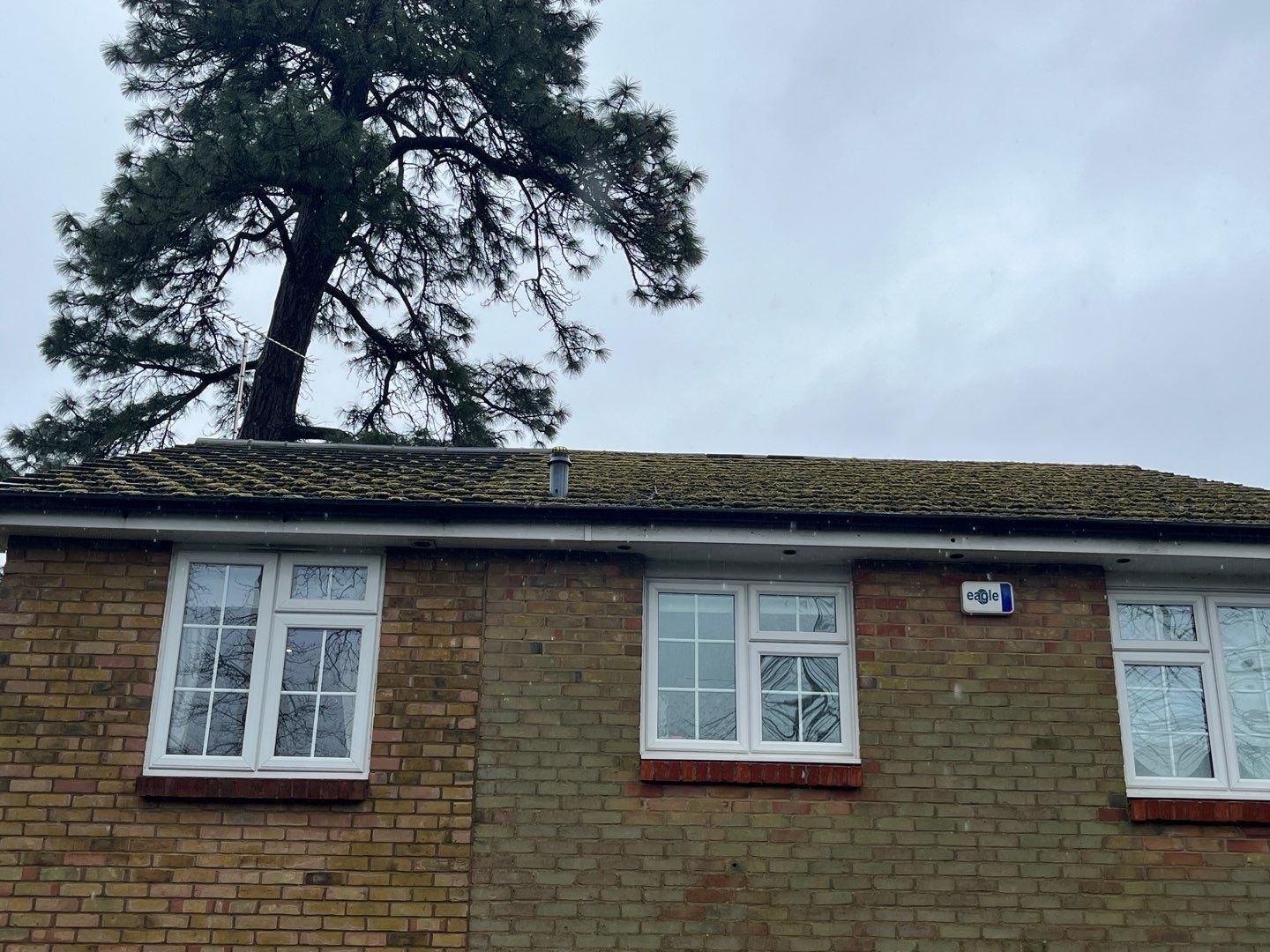 Roof Clean  - Moss Removal - Gutter Clean using Honda 15lpm Low Pressure Washing Machine by Ges Exterior Cleaning ltd