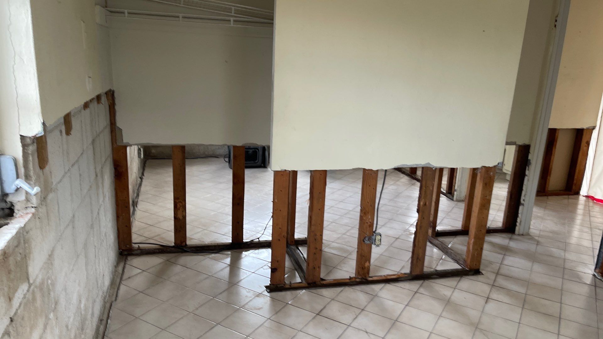 Mold Remediation  by THE RAPID TEAM