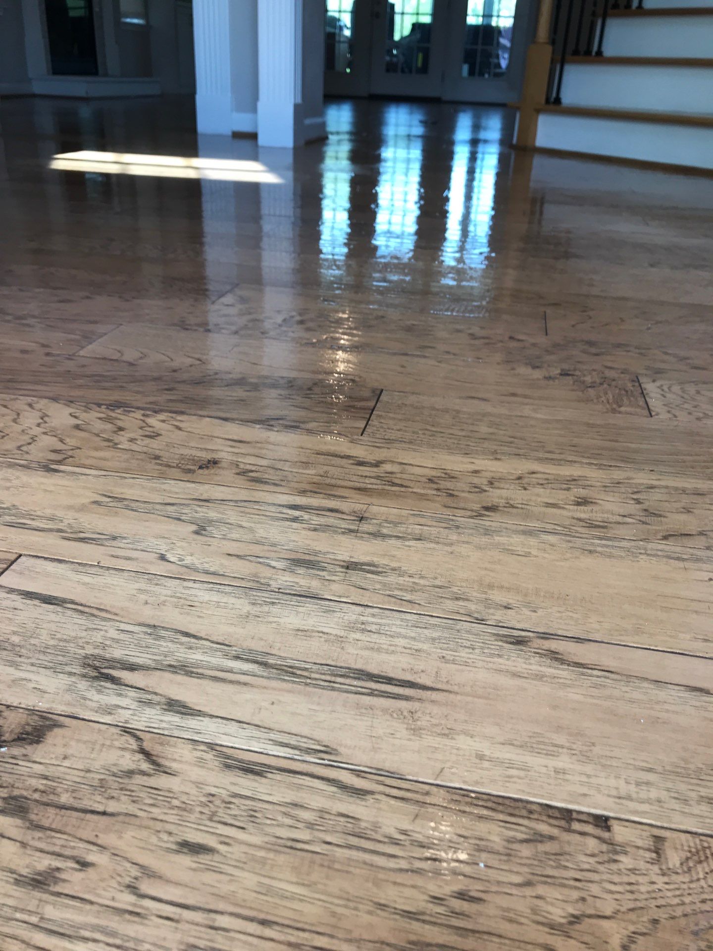 Hardwood Renewal by Monster Clean