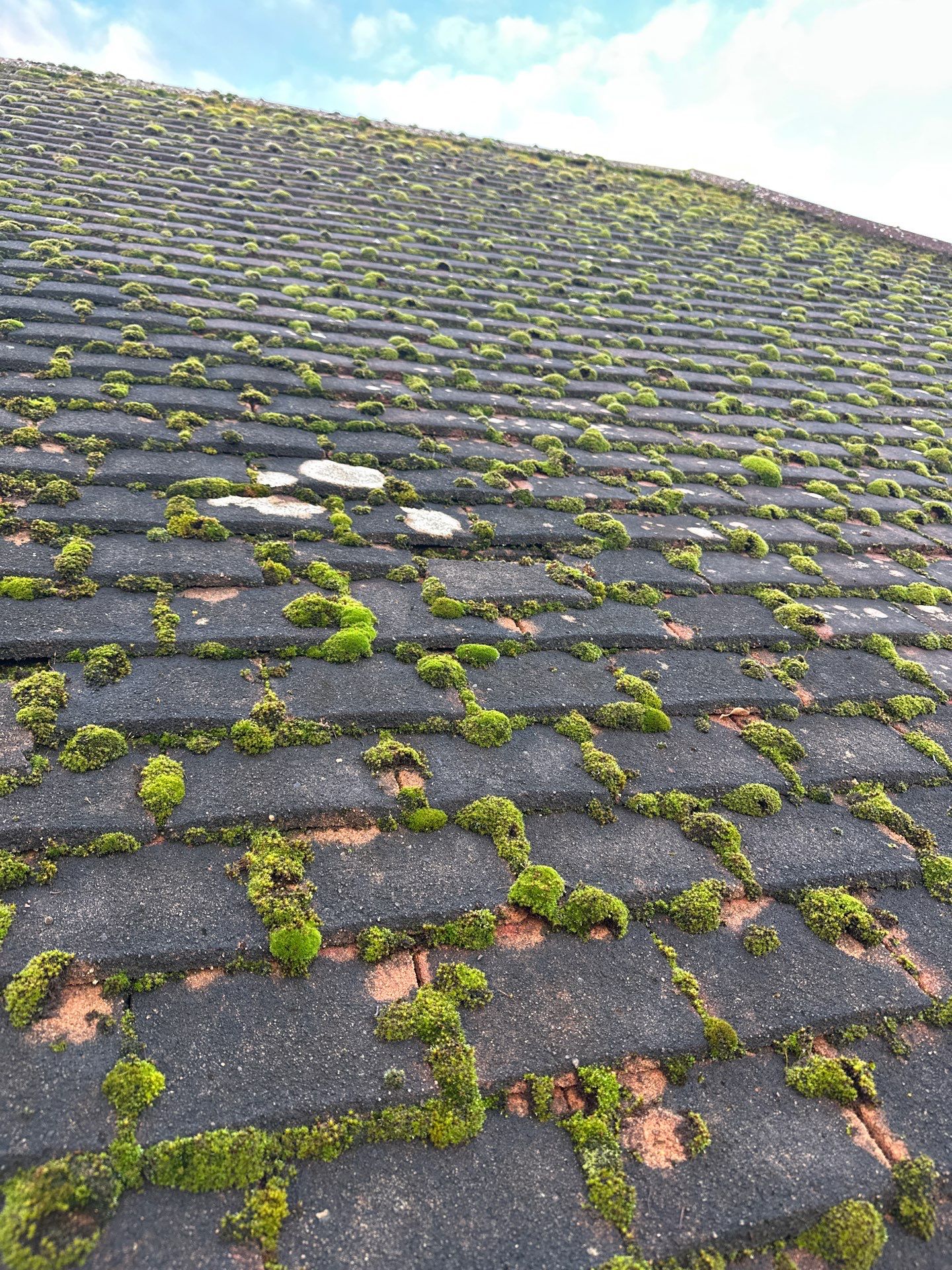 Roof And Driveway Clean by Ges Exterior Cleaning ltd