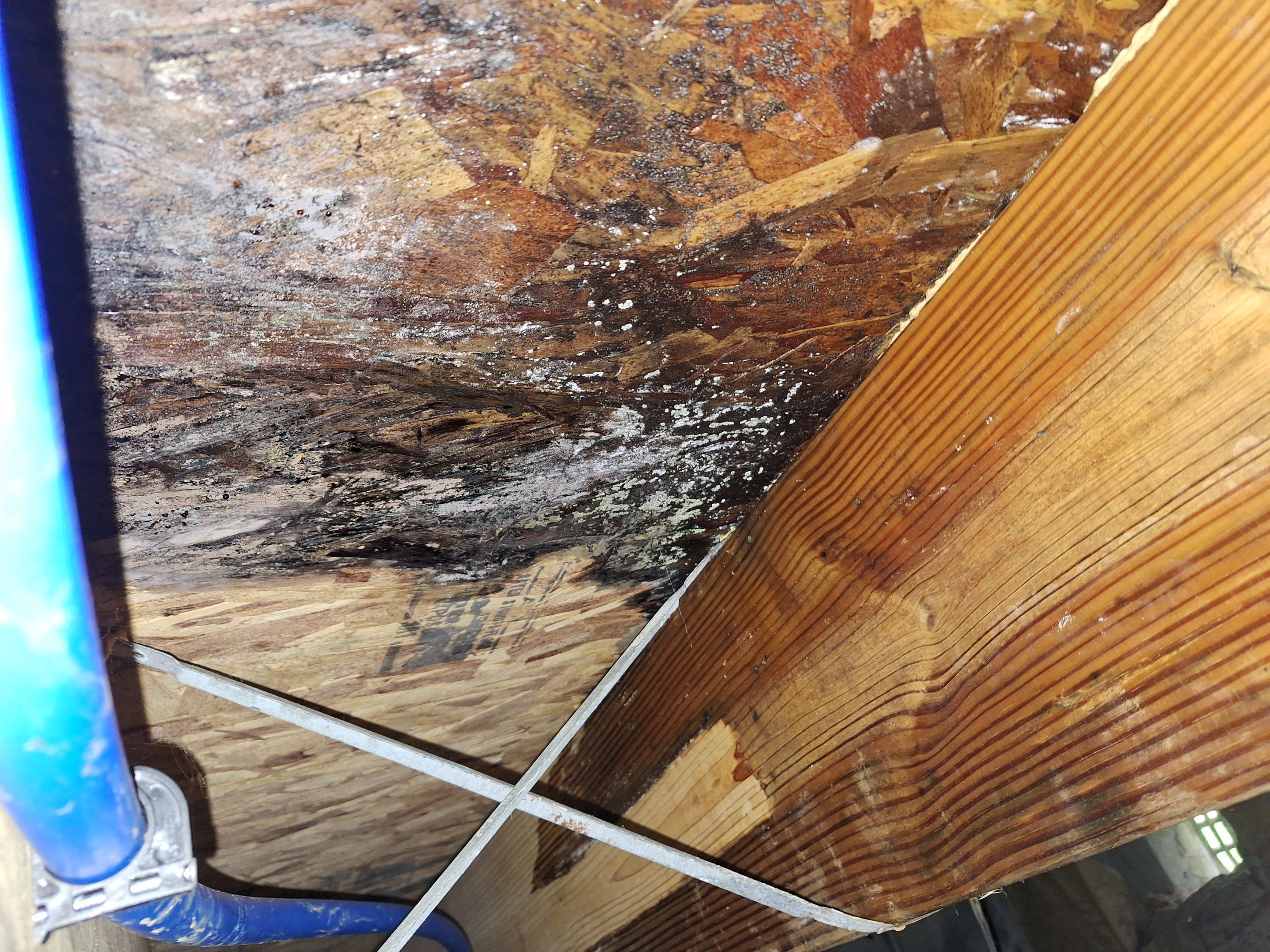 Crawlspace Water Mitigation in Louisville, KY by ANR Restoration