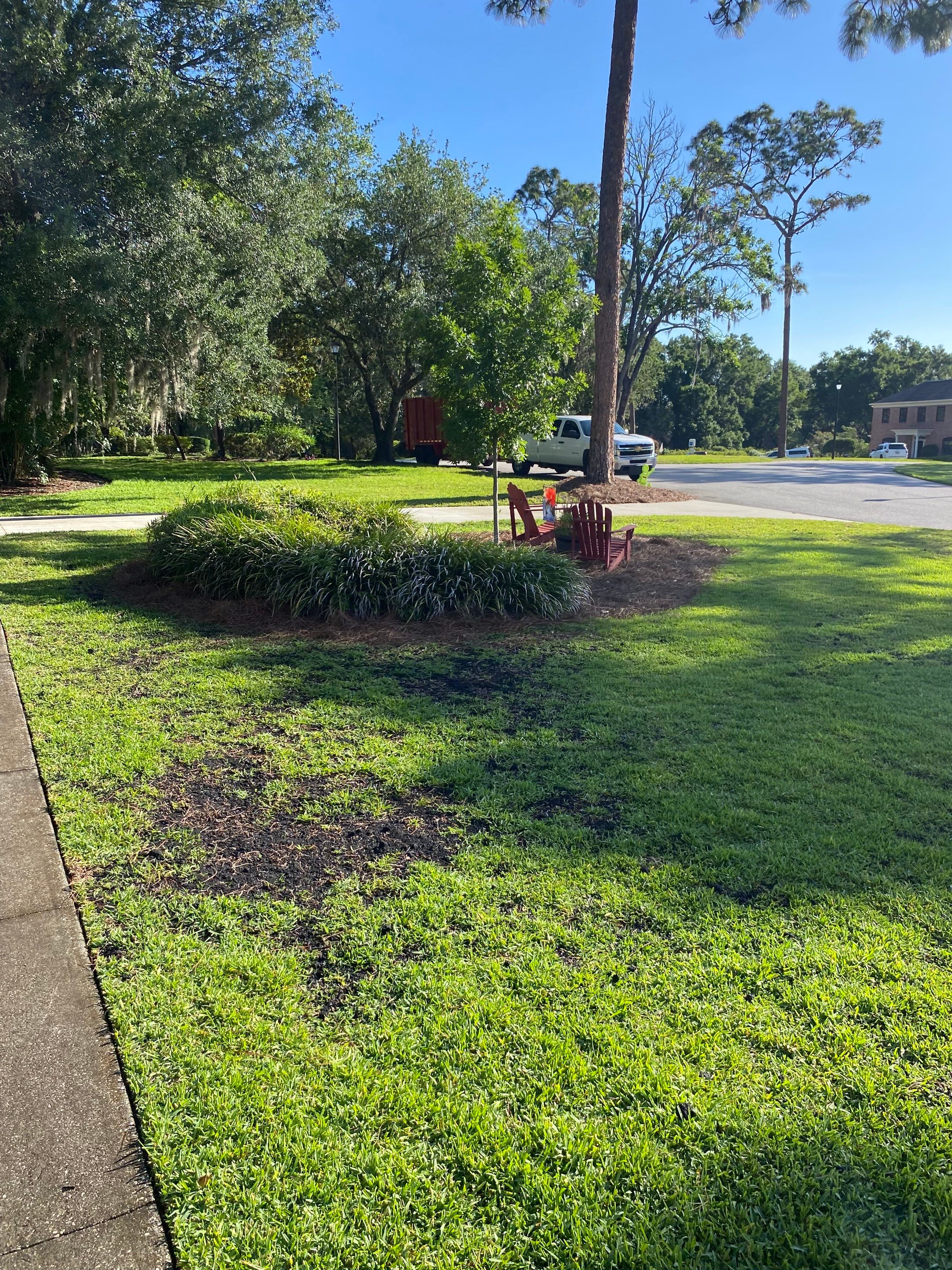 Deerwood Resident | Pine Straw & Topsoil Install by ProGreen Services