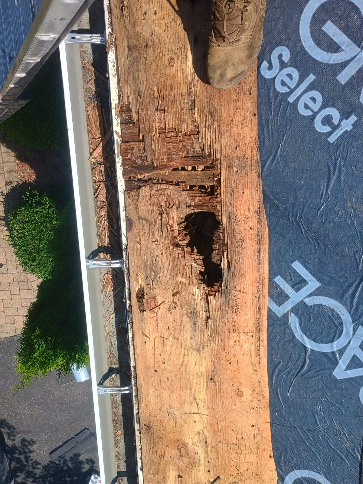 Project in Ashland by JOHNNYS PRO