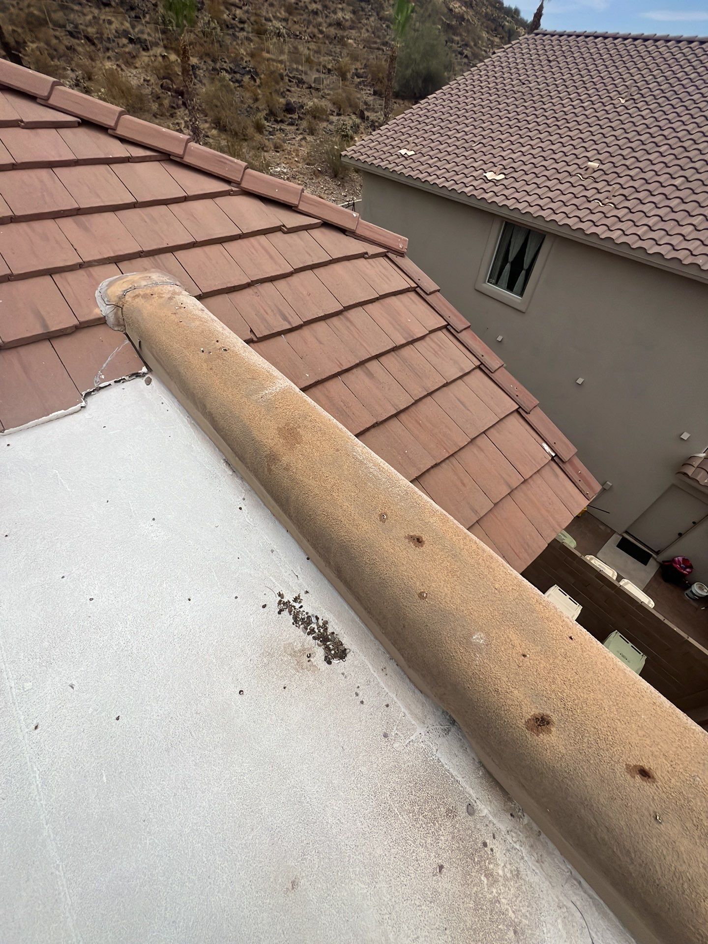 Exterior Painting using Dunn-Edwards EVERSHIELD®  by Crash of Rhinos Painting & Garage Floors