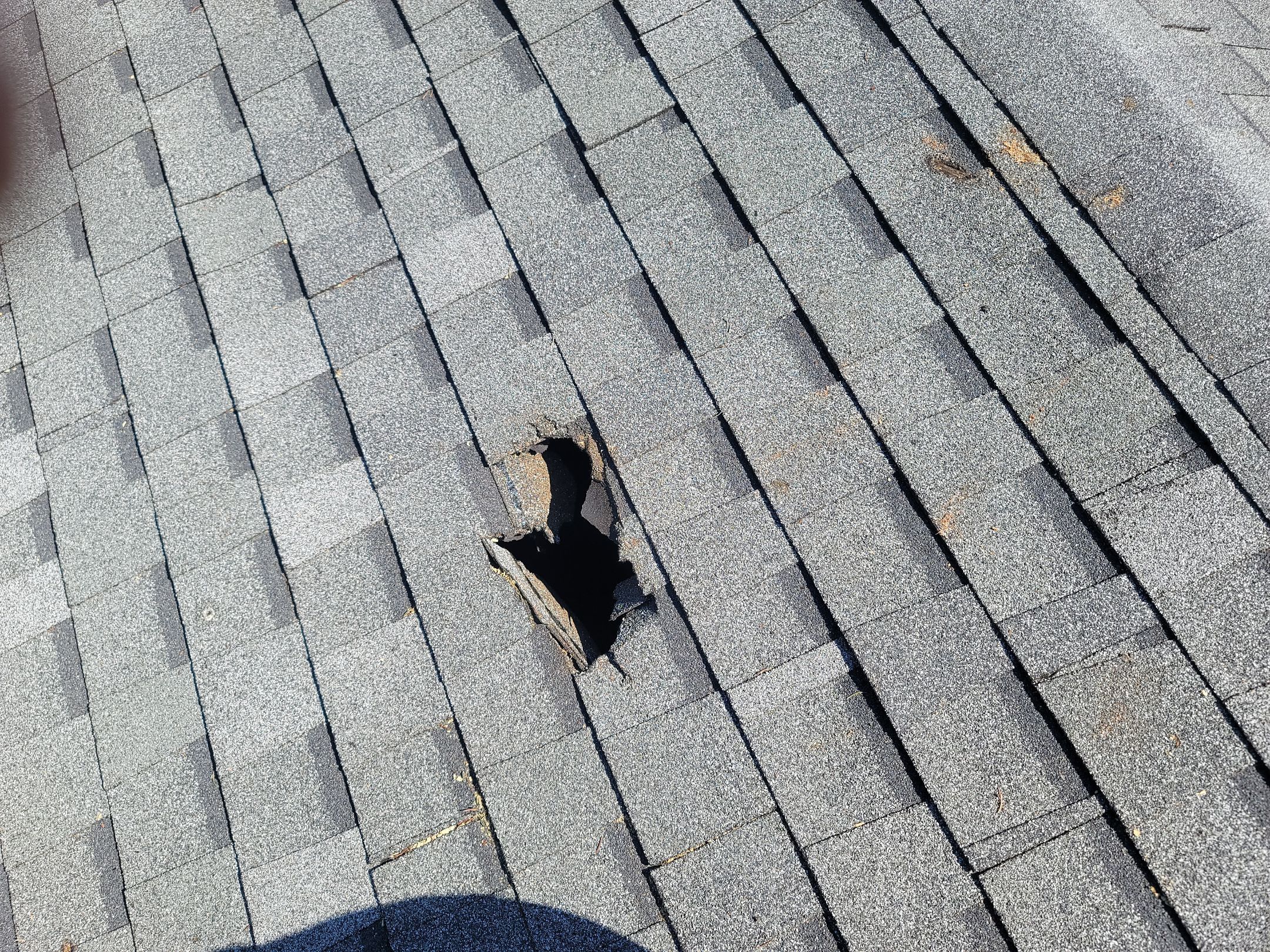 ATLAS PINNACLE COLOR: COASTAL GRANITE by Eagle Eye Roofing