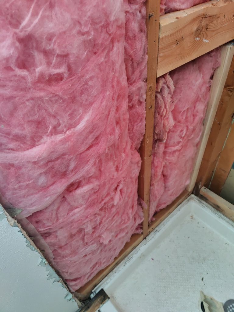 Mold Remediation  by Accountable Home Services