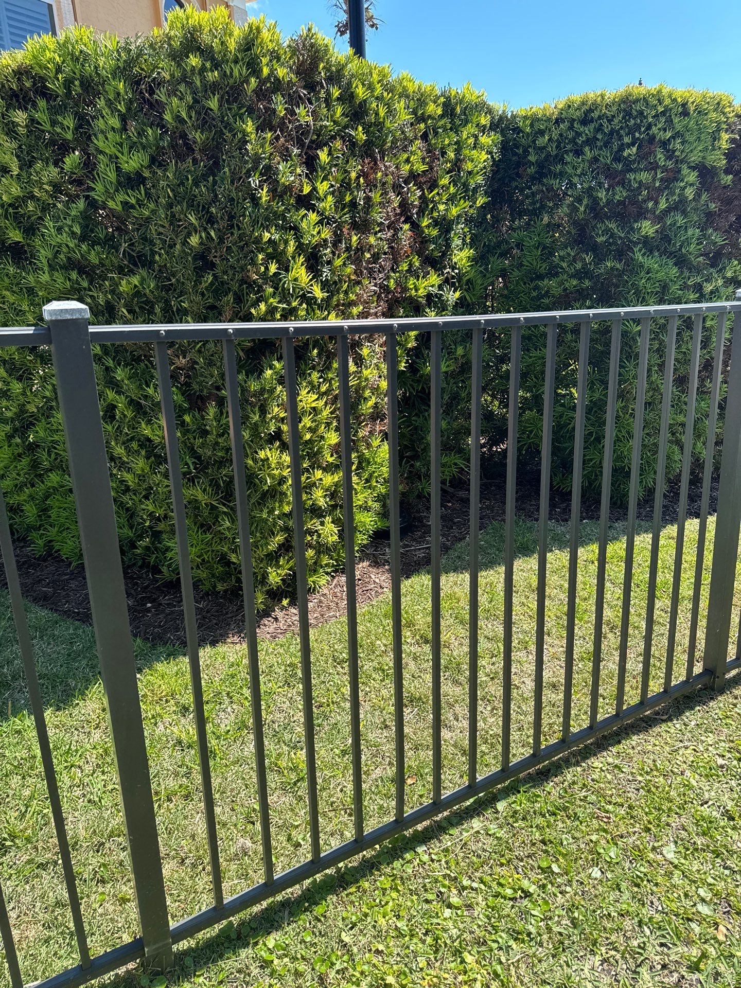 590 Birdie Ln  by H&Y Fence
