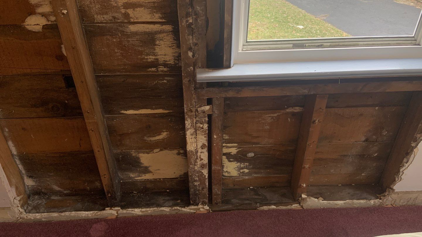 Roof/Siding Leak by Chicagoland Water Medics