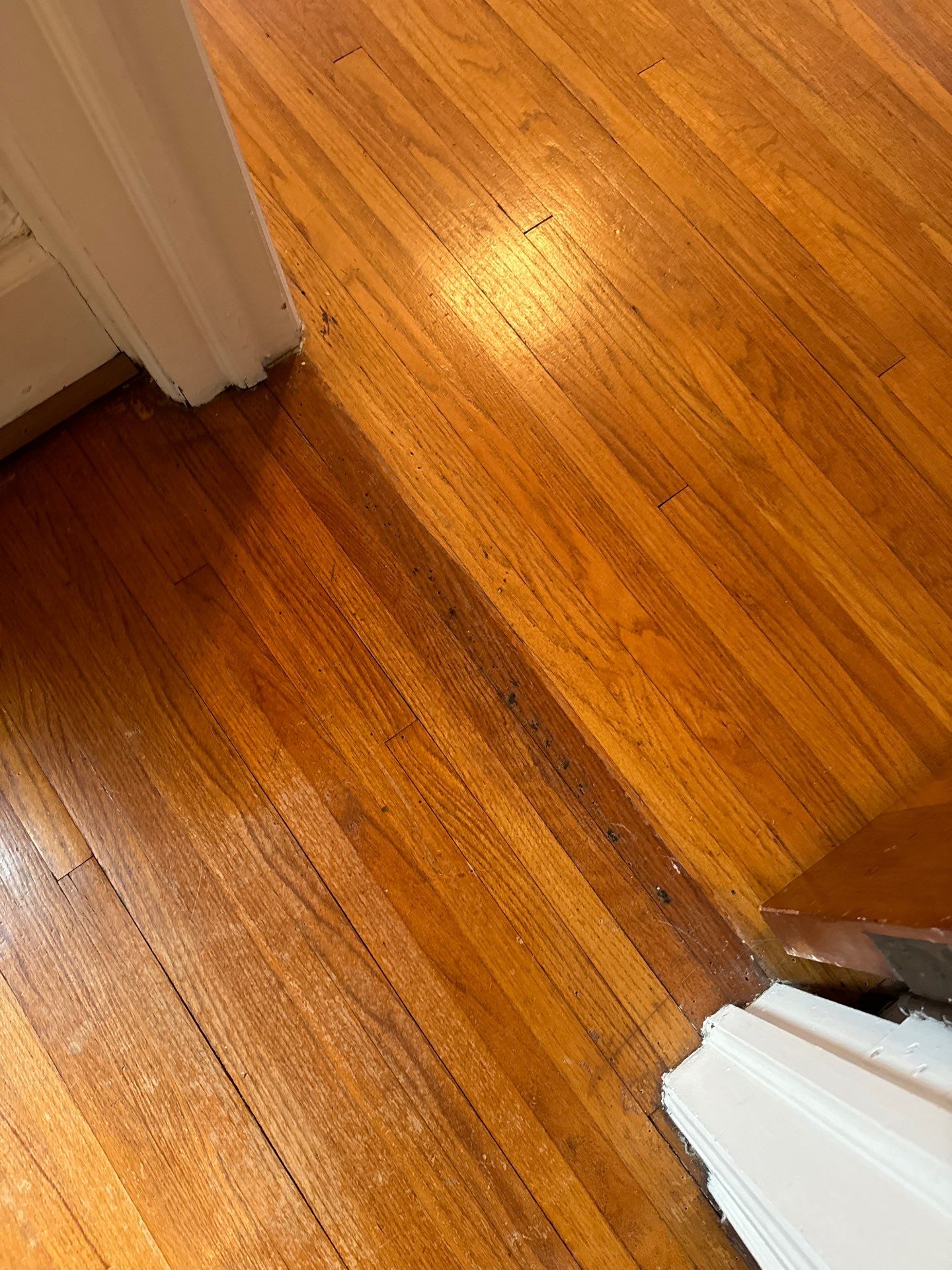 Historic Hardwood floor restoration  by Ann Arbor Hardwoods 