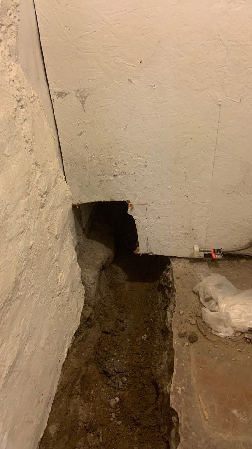 Basement Remodel for New Tenants in North by Waterproofing Northeast