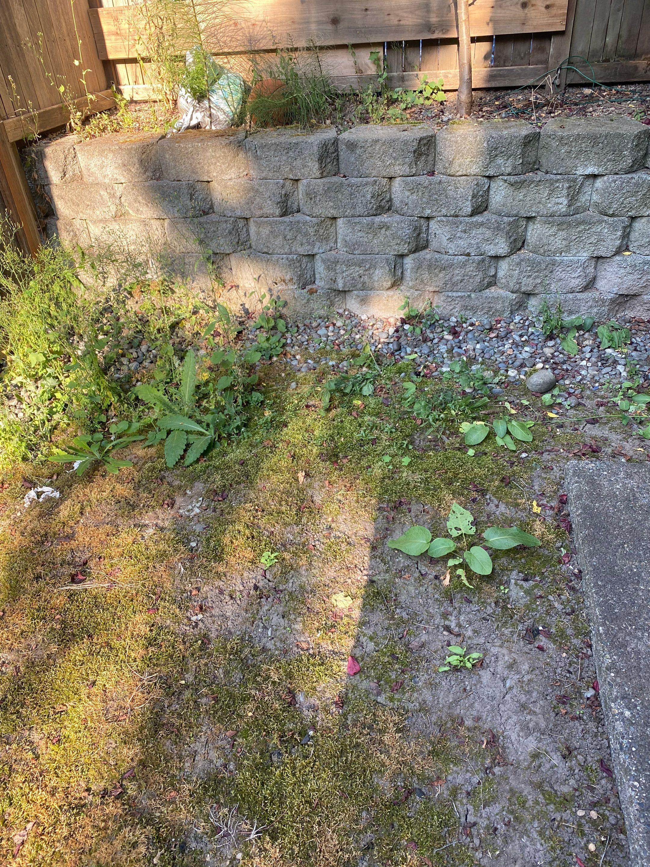 Small Patio Makeover in Lynnwood by Jireh Asphalt & Concrete Inc