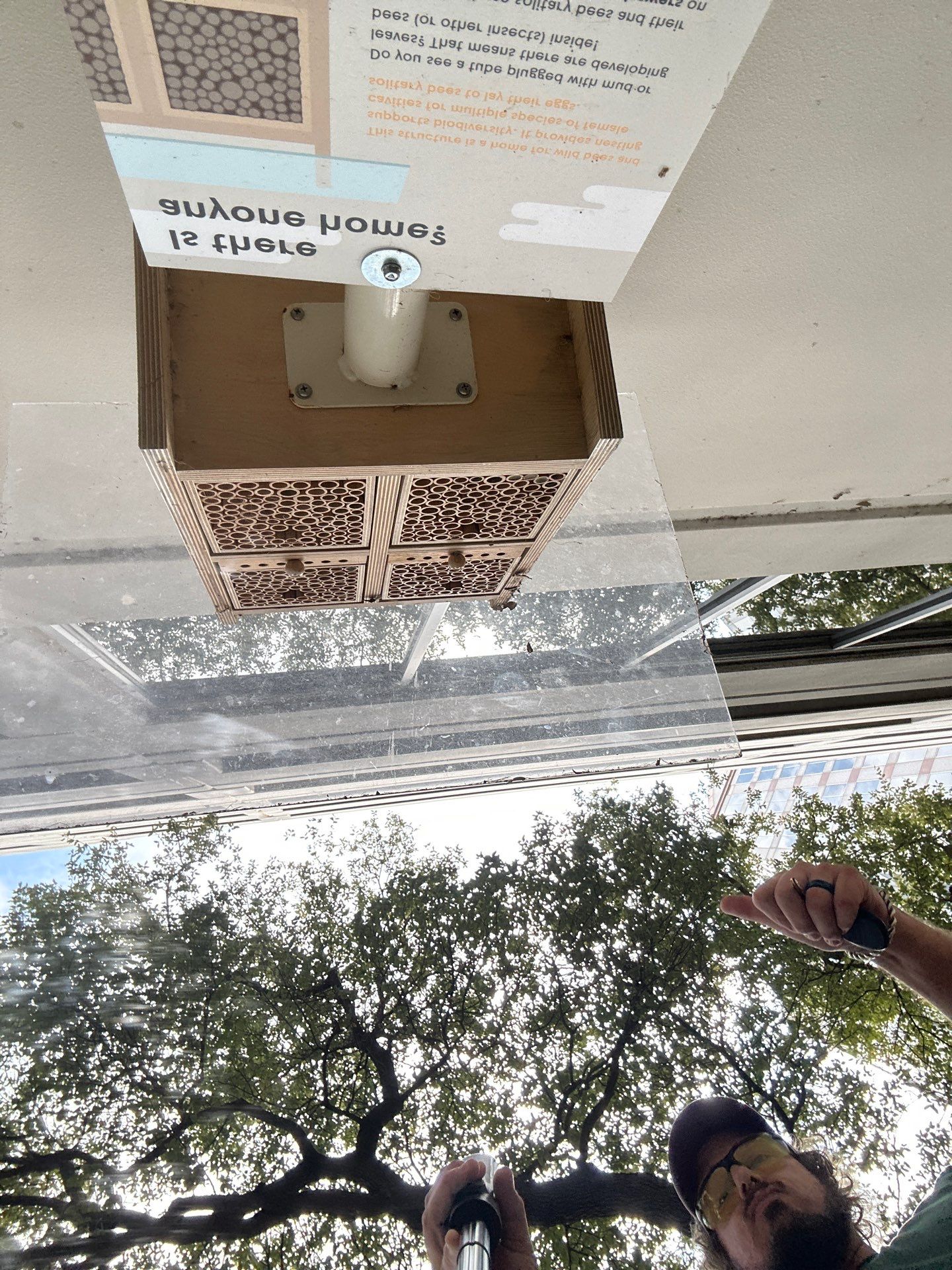 Rooftop Bees in Irving by Rockwall Honey Bee Company