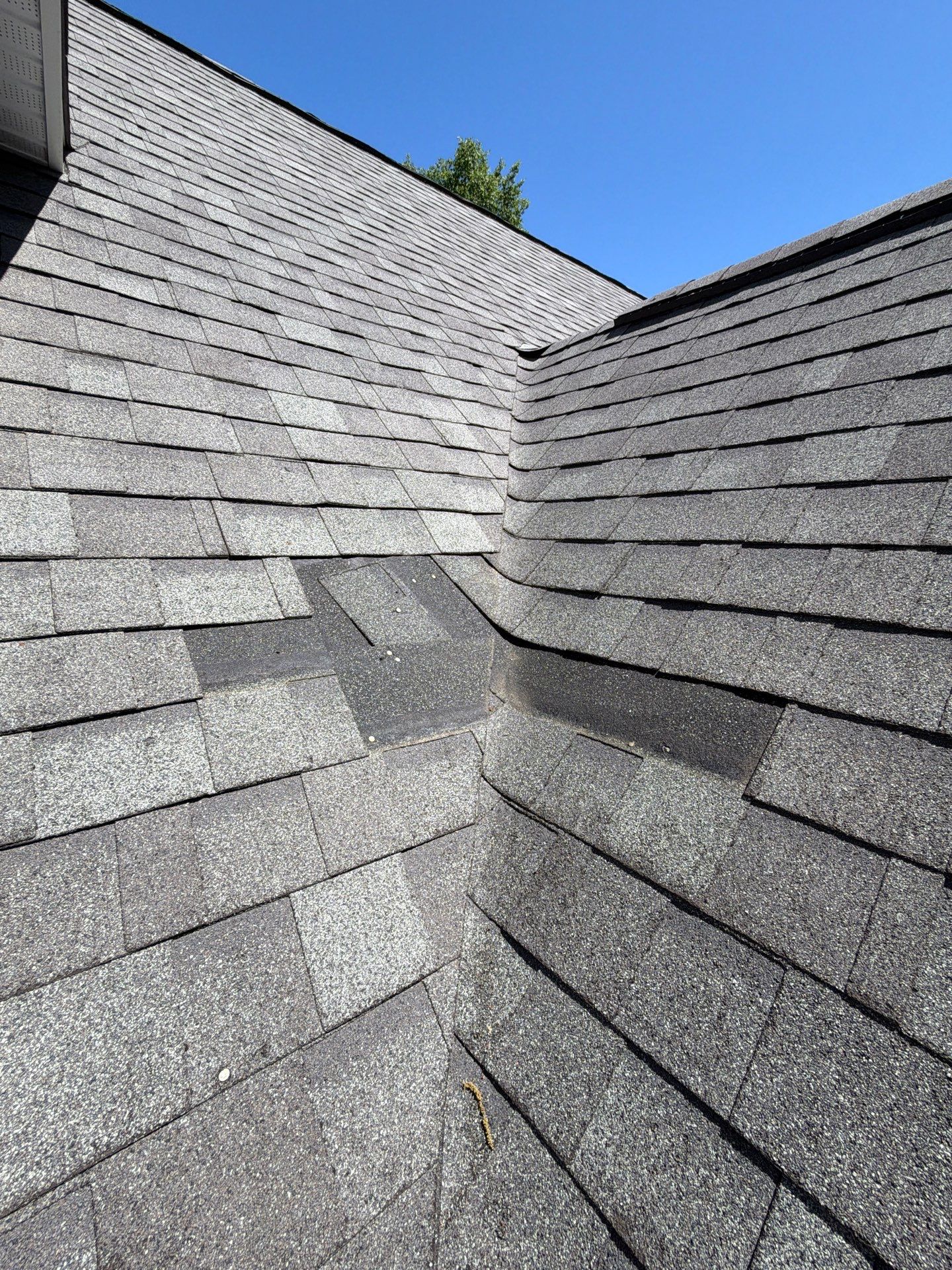 Gloucester Exterior Overhaul with Navy Blue Siding and New Roof by Cade Construction