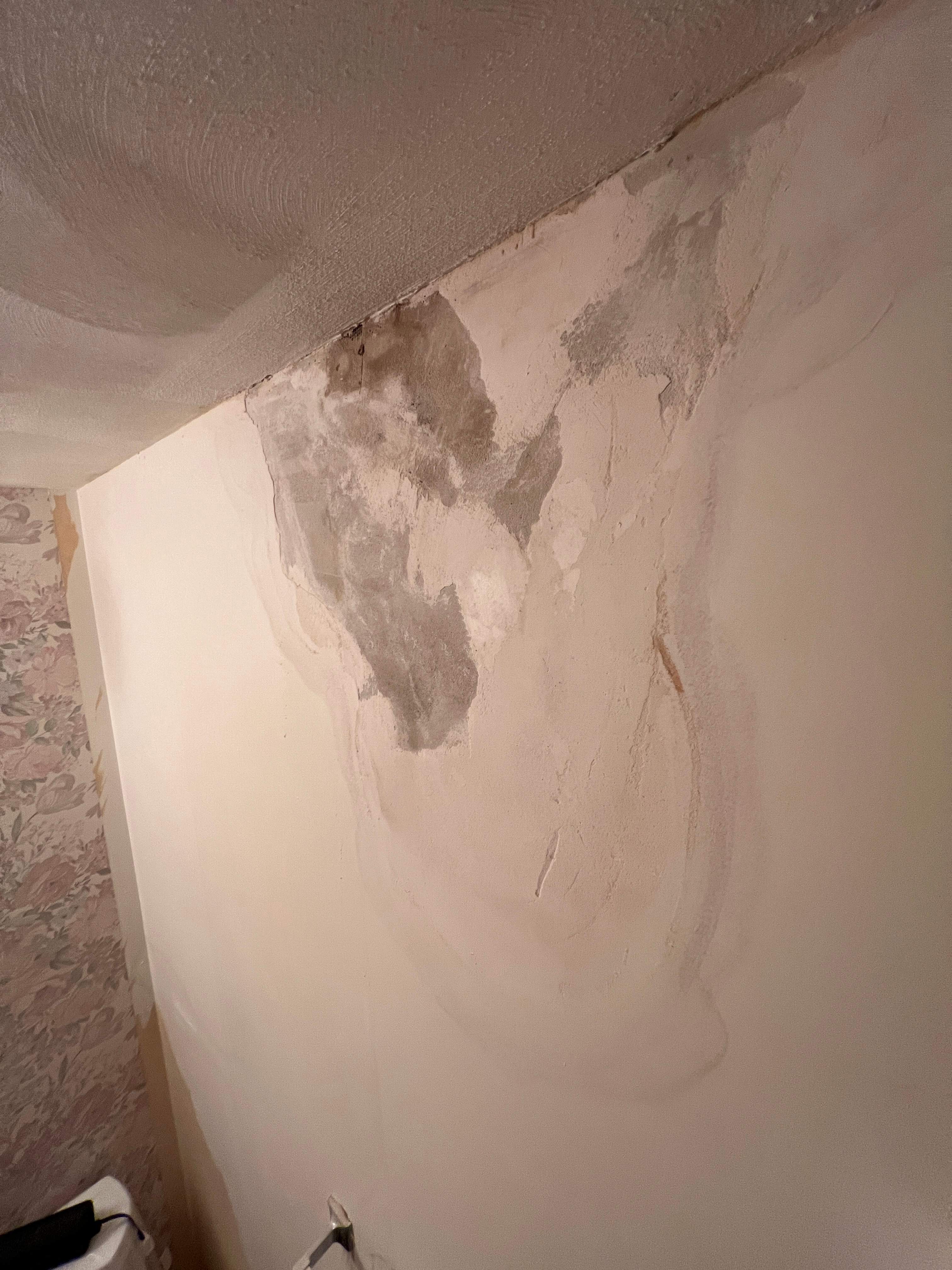 Pre-List Interior Refresh by Grandview Painting