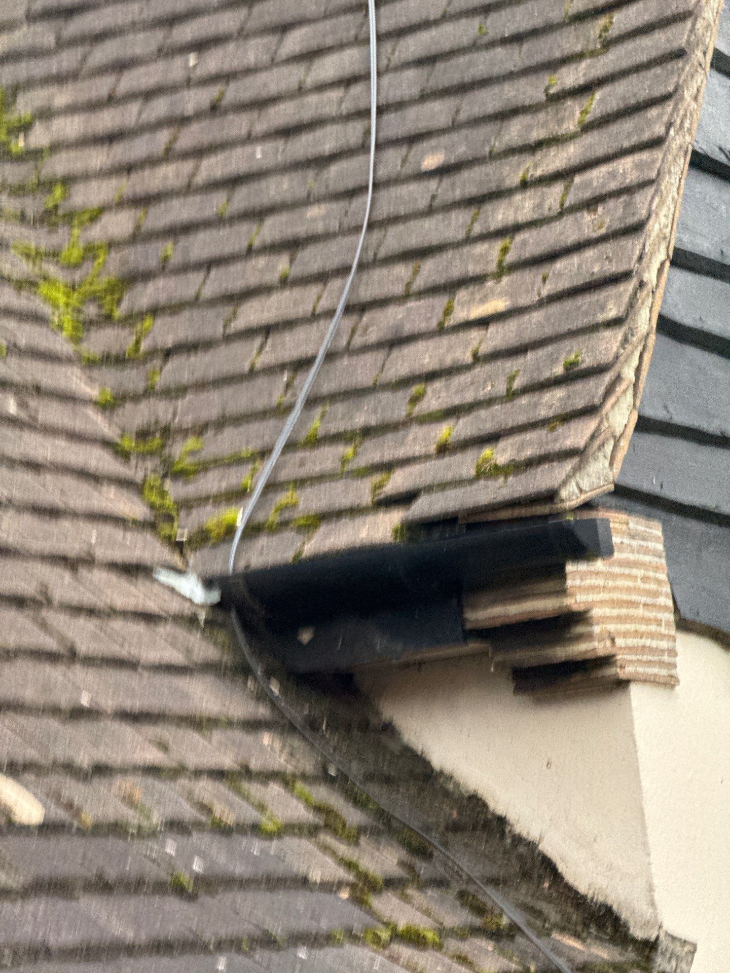 Roof and Patio Cleaning using Honda 15lpm Low Pressure Washing Machine by Ges Exterior Cleaning ltd