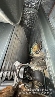 Air Duct Cleaning Dryer Vent Repair Sealed Plenum Clermont