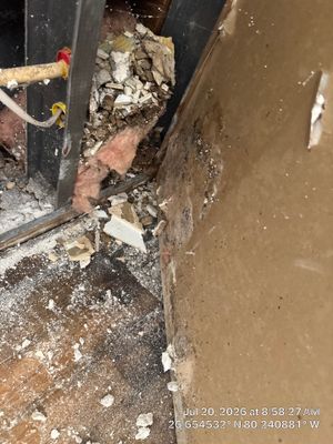 Professional Mold Remediation and Interior Water Damage Restoration in Wellington