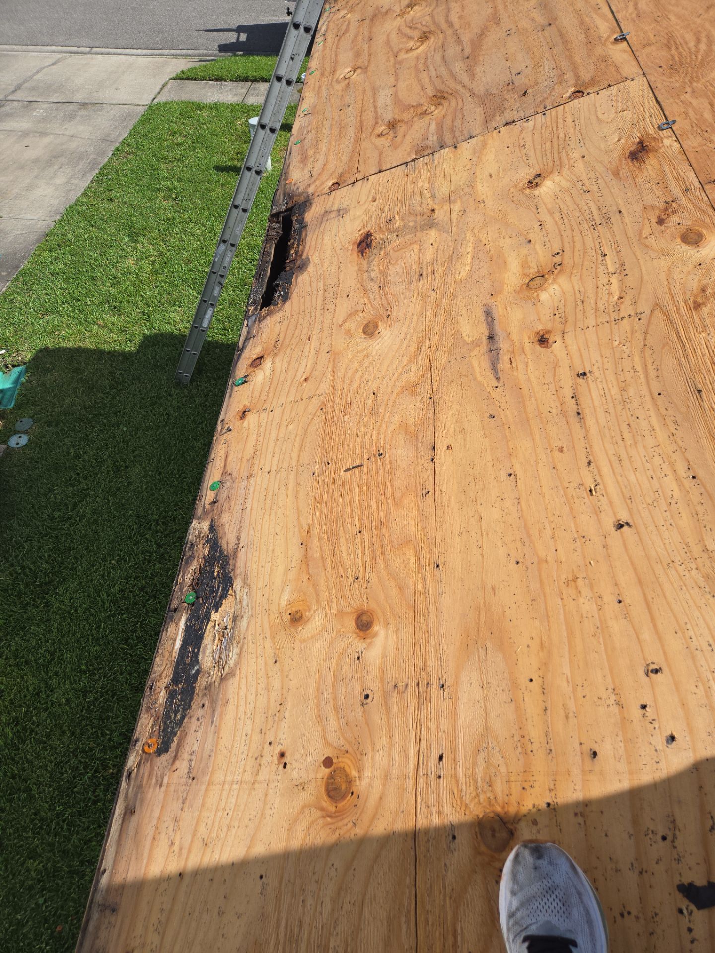 Project in Oldsmar 34677 by Mitchell Roofing Company LLC 