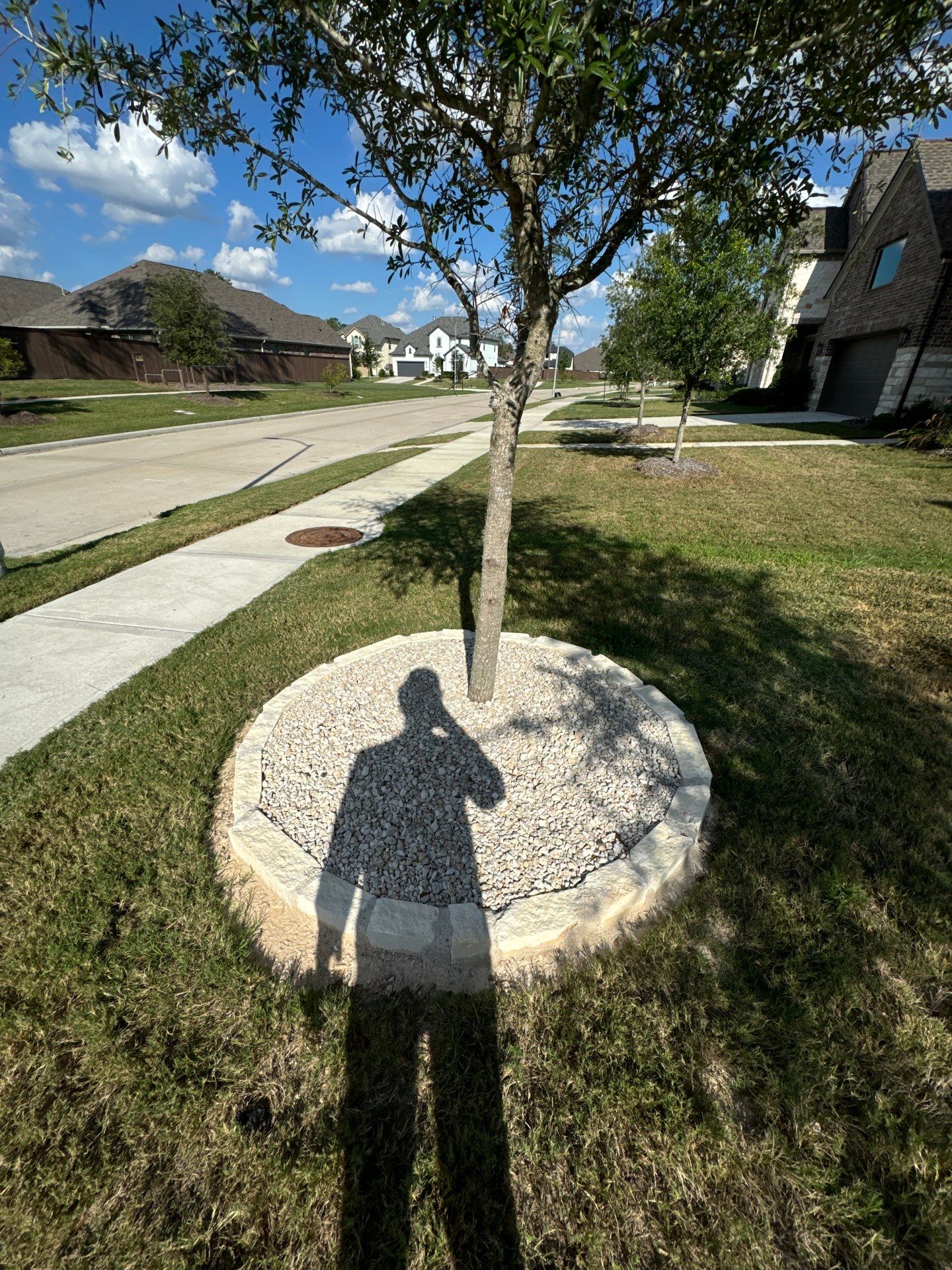 🌿✨ Yard of the Month – Curb Appeal with Drainage, Irrigation & Walk Path by Texas Urban Elements