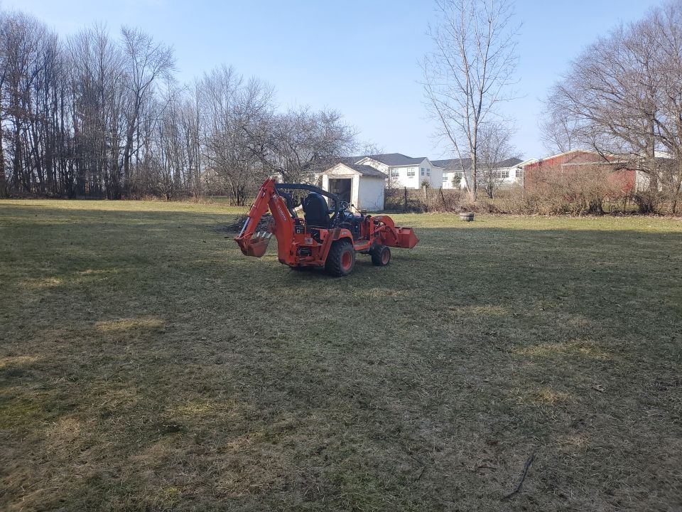 Tree Removal using Tree Removal by Mike Jones & Sons Tree Service LLC 