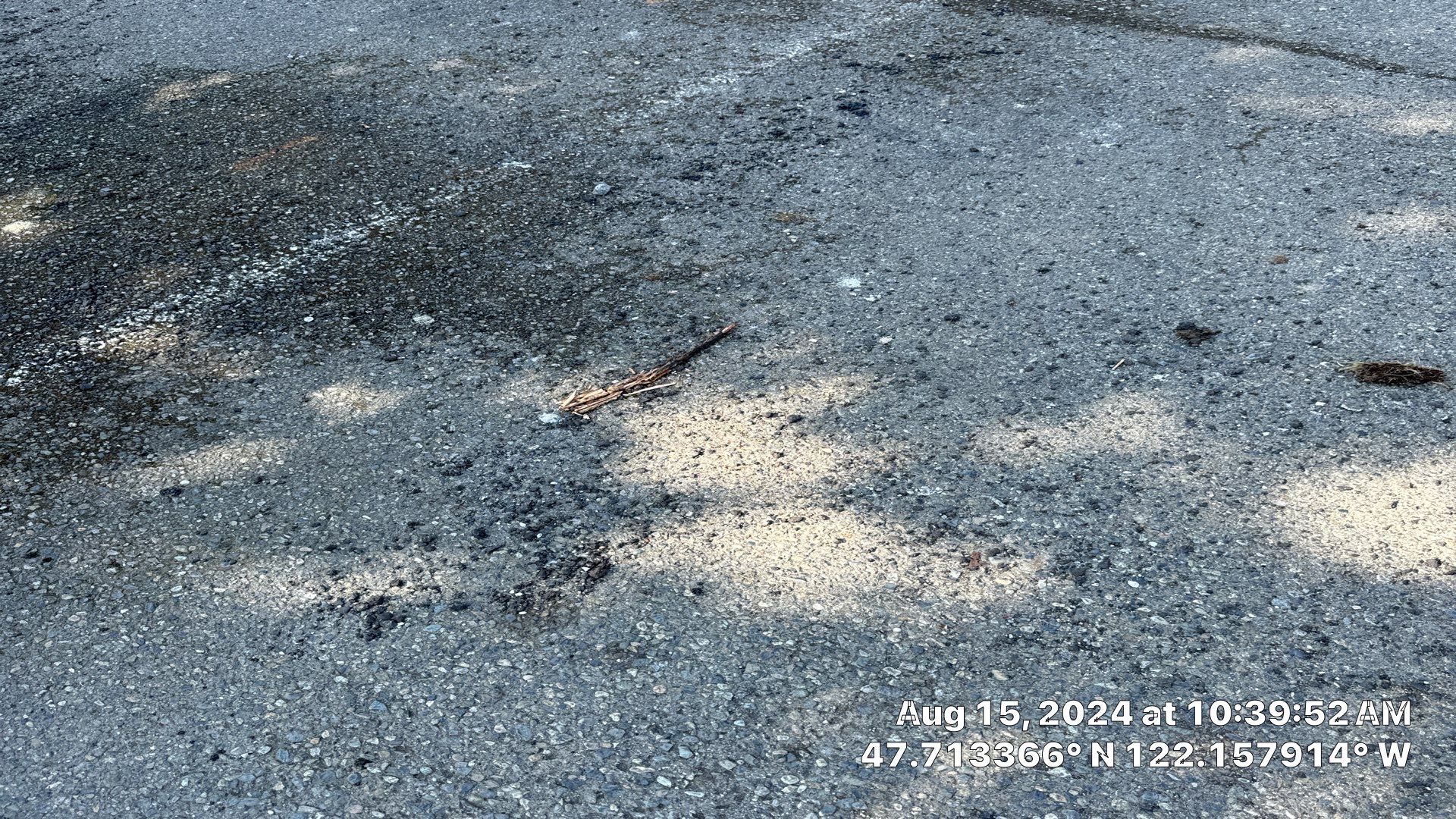 Buchan Bros | Asphalt Driveway by Jireh Asphalt & Concrete Inc 