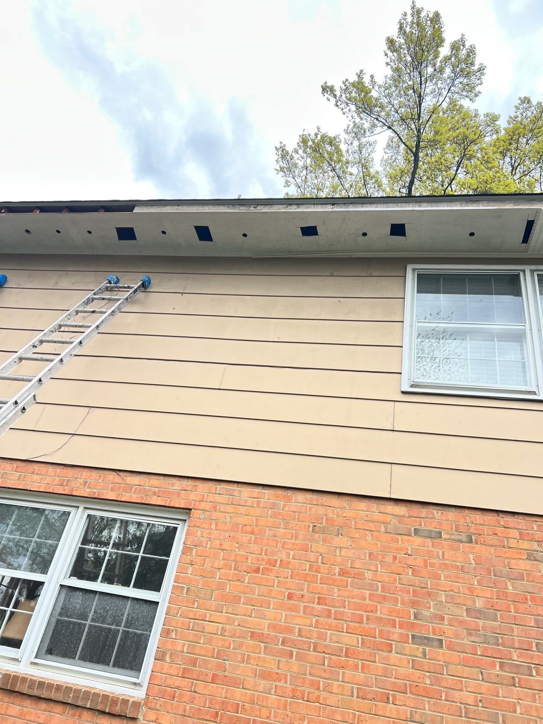 Arlington: Multi-Trade Exterior Remodel by RM Banning, Inc.