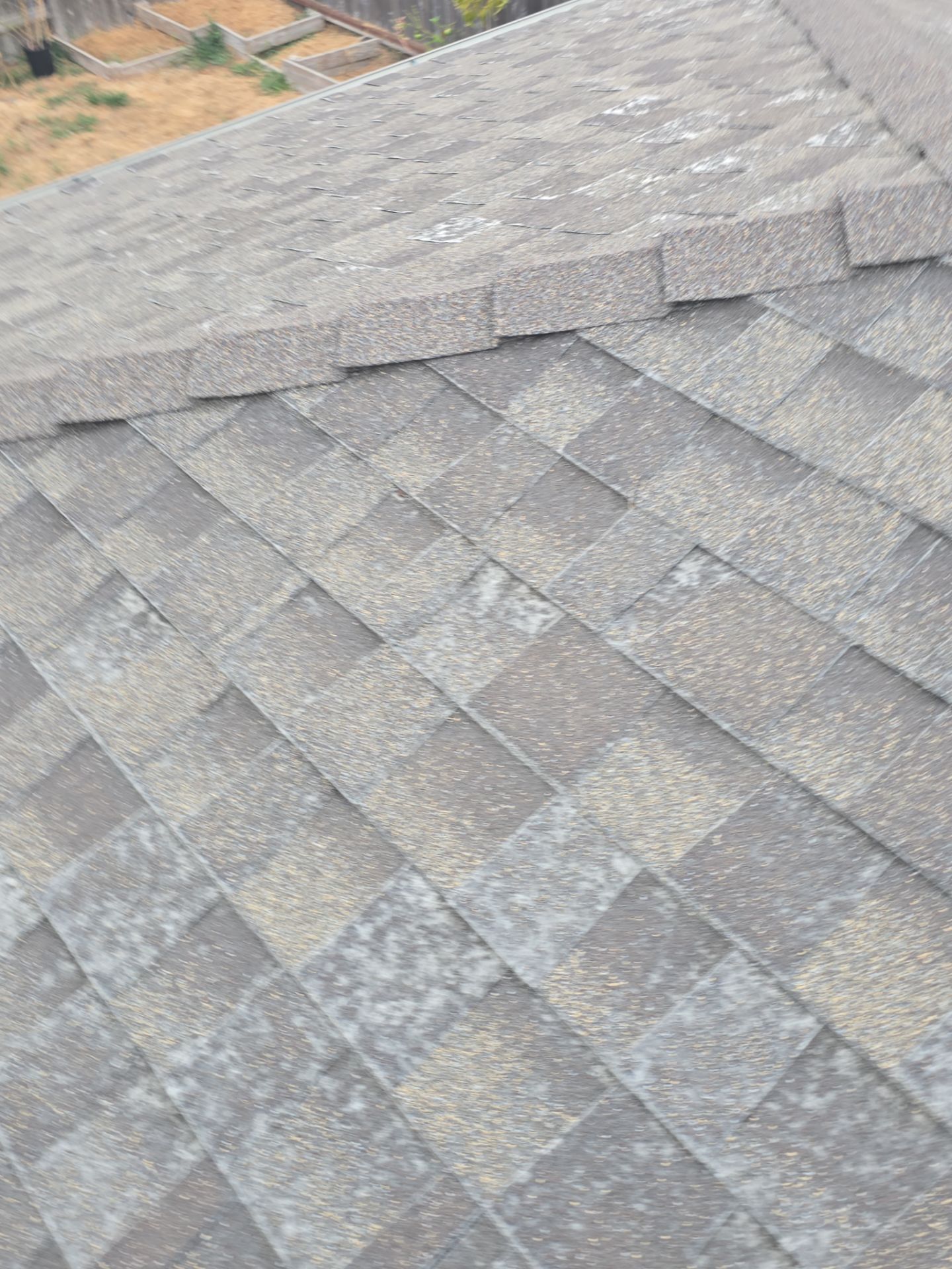 Roof Rejuvenation using Roof Maxx Treatment by Roof Maxx of Folsom