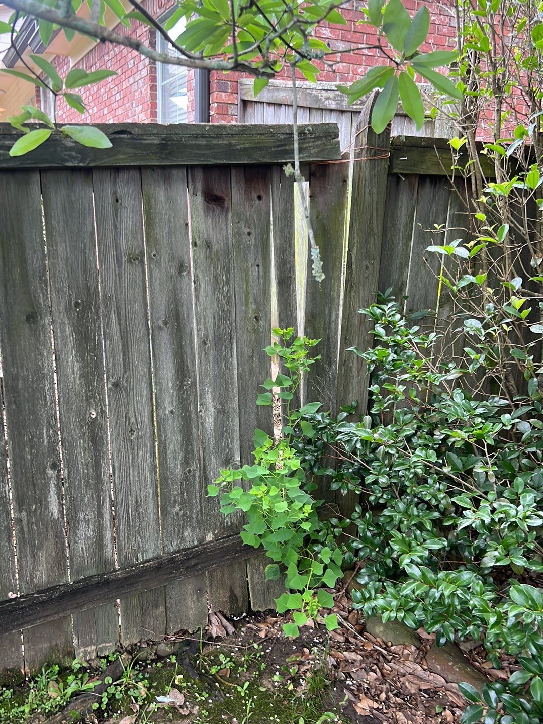 6ft Treated Pine Good Neighbor Fence French Gothic Posts by Roberson Construction LLC