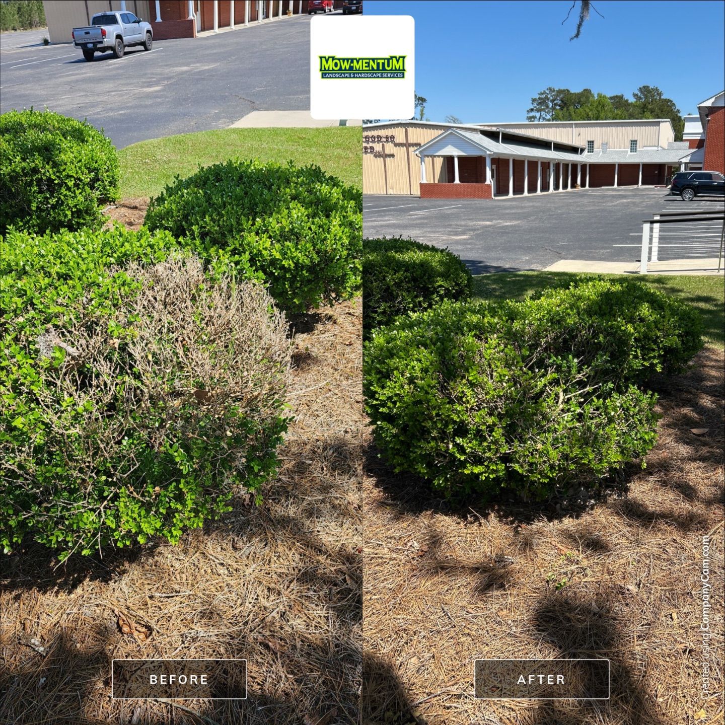 Mow-Mentum Lawn Care Services LLC featured photo.