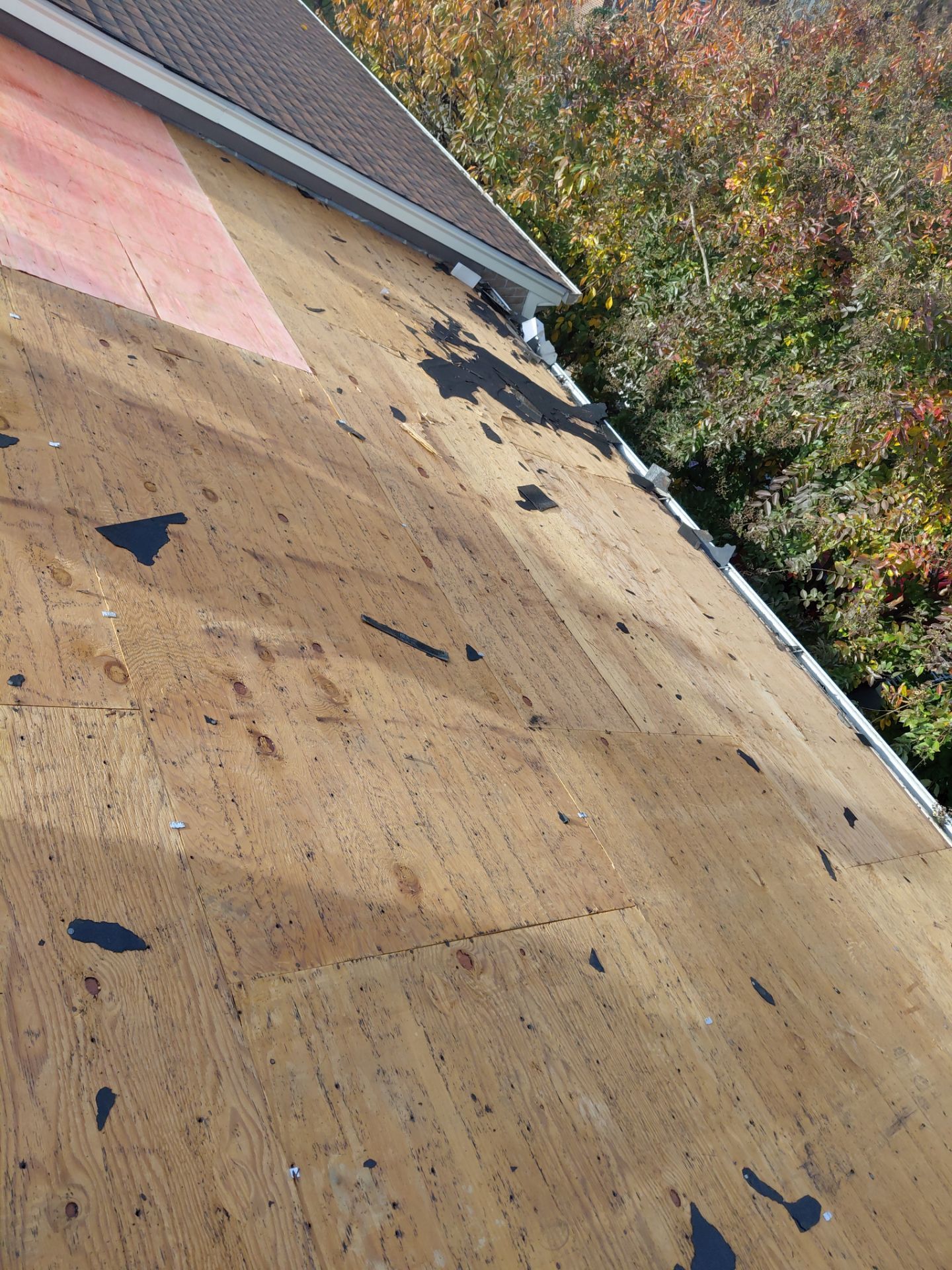 Alexandria : Residential Roof Replacement with CertainTeed Landmark Pro in Max Def Weathered Wood by RM Banning, Inc.