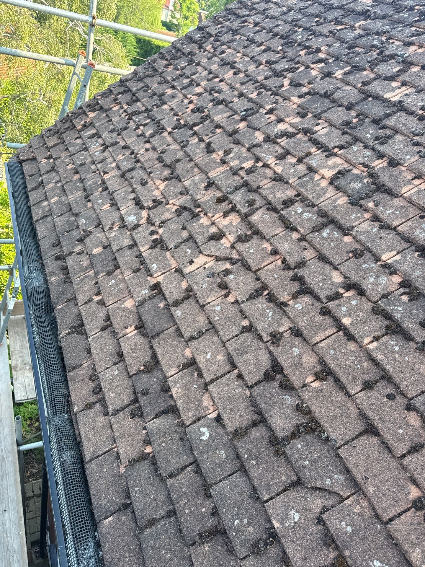 Roof Clean - Gutter Clean - Biocide Treatment by Ges Exterior Cleaning ltd