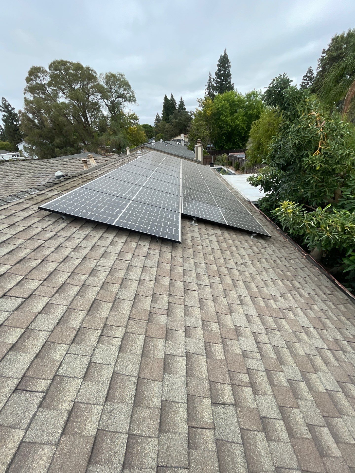 Roof Rejuvenation using Roof Maxx Treatment by Roof Maxx of Folsom